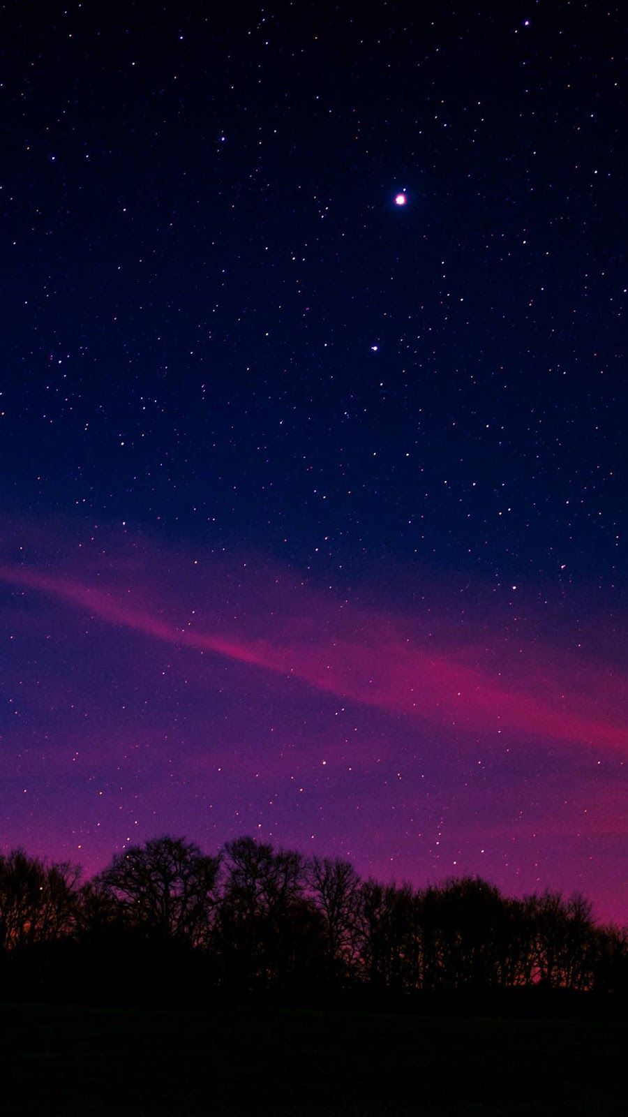 Sternenhimmel, Rosa Leuchten, Bäume, Silhouetten, Hochformat, Hintergrundbild fürs Smartphone