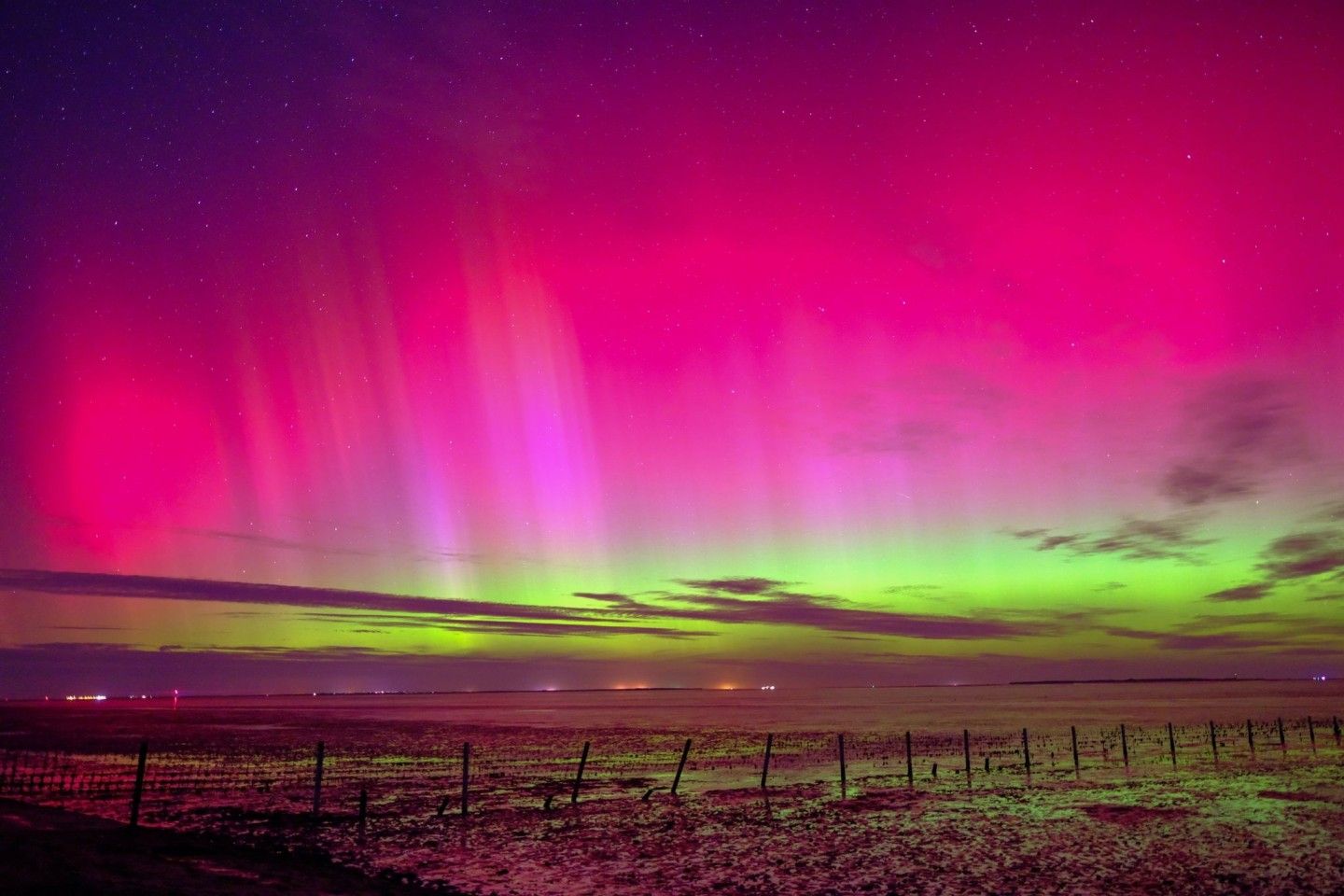 Aurora borealis, Pink, Magenta, Feld, Zaun, HD, Hintergrundbild für den PC