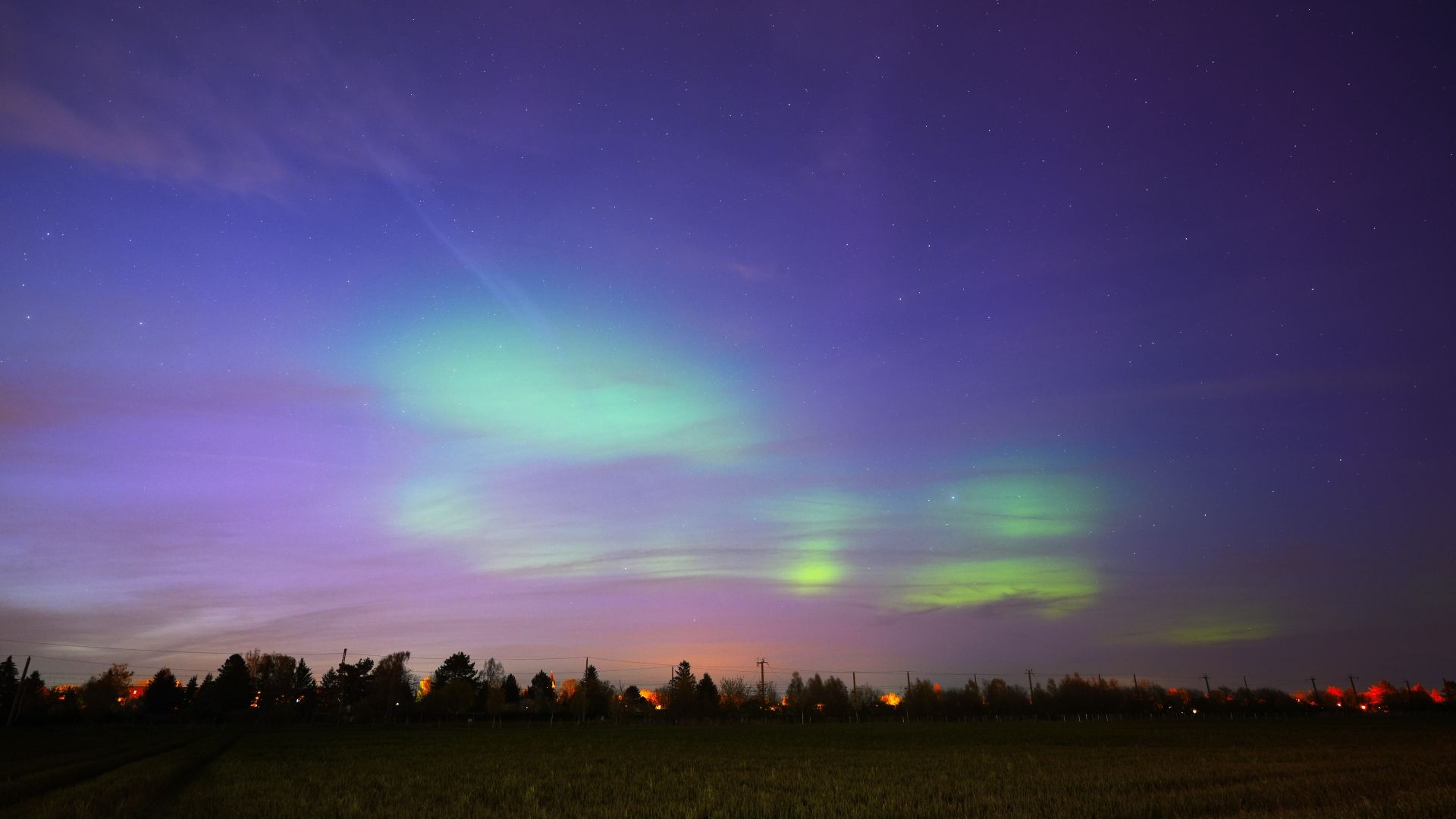 Nordlicht, Lila Himmel, Grüne Schleier, Baumreihe, Full HD 1080p, Desktop-Hintergrundbild