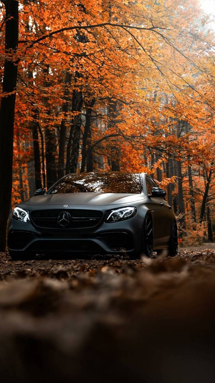 Mercedes-AMG C 63, Herbstwald, Laub, Dunkelgrau, HD, Sperrbildschirm fürs iPhone