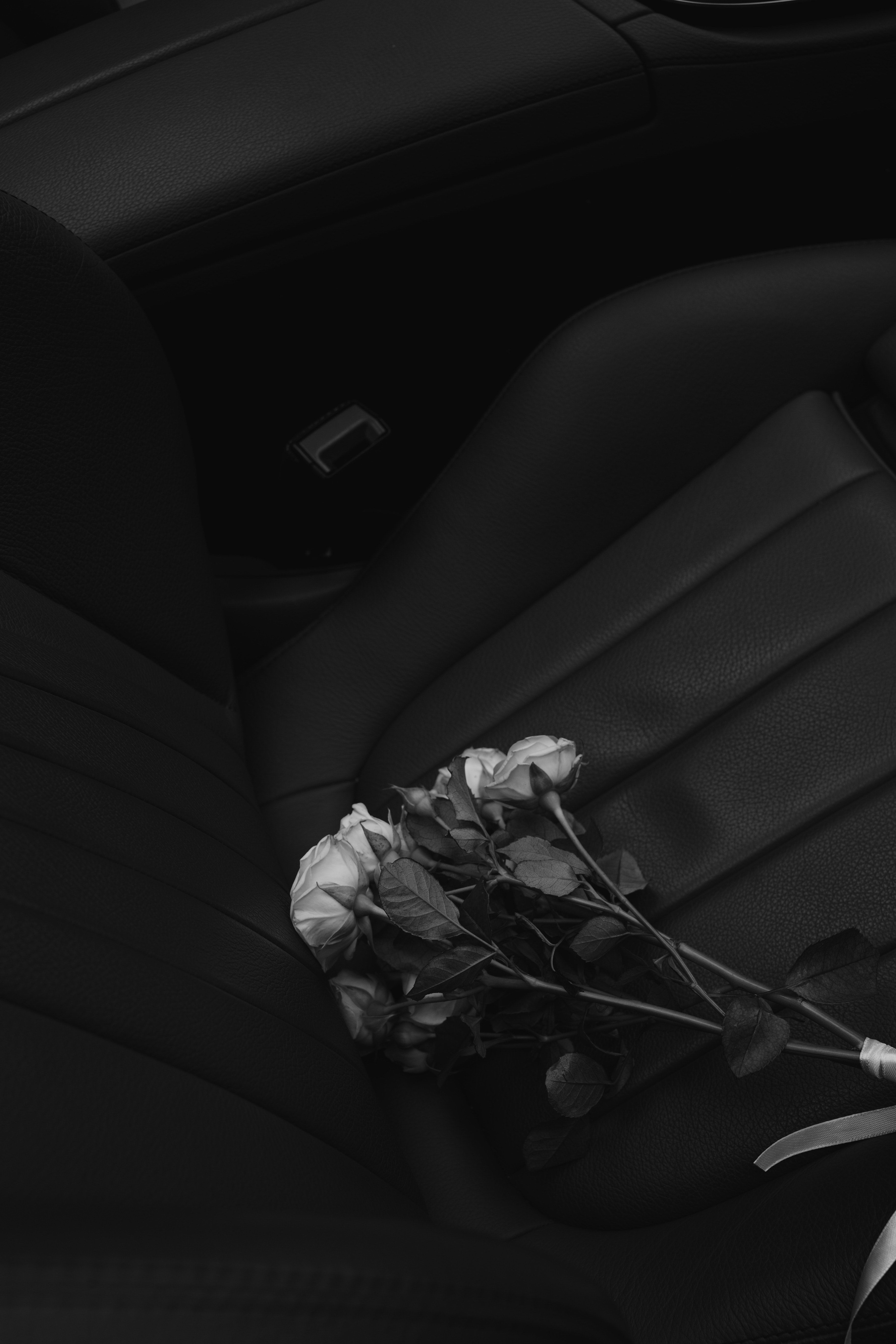 Blumenstrauß, Dunkel, Stillleben, Schatten, QHD+, Handy-Hintergrund im Hochformat