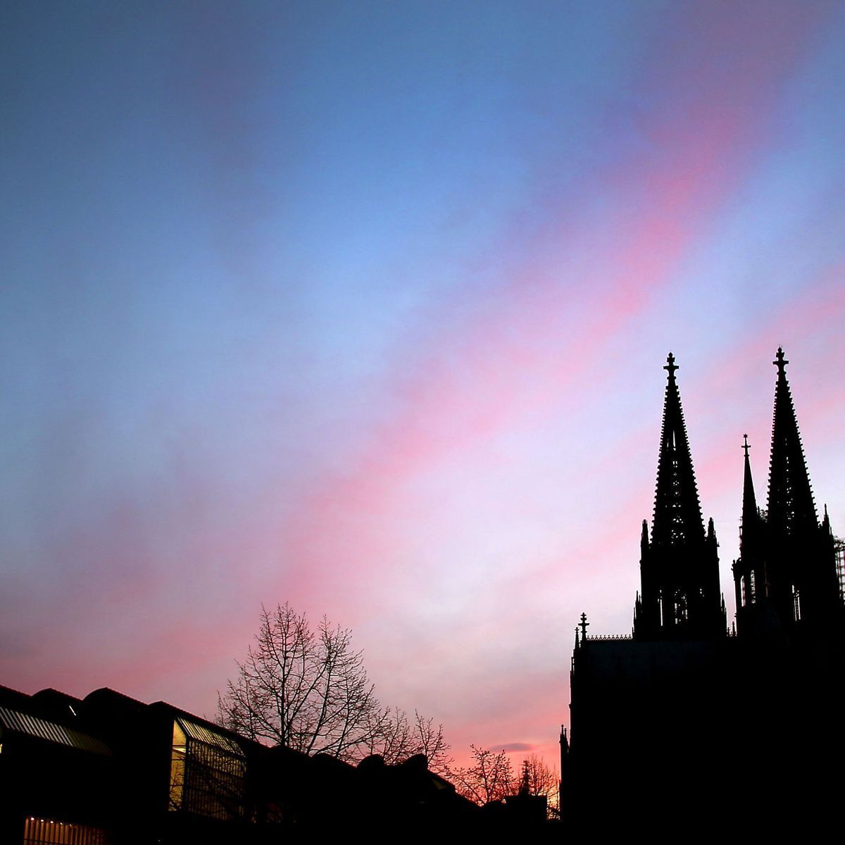 Kölner Dom, Silhouette, Rosa Himmel, Kahle Bäume, Dämmerung, Hintergrundbild fürs Tablet