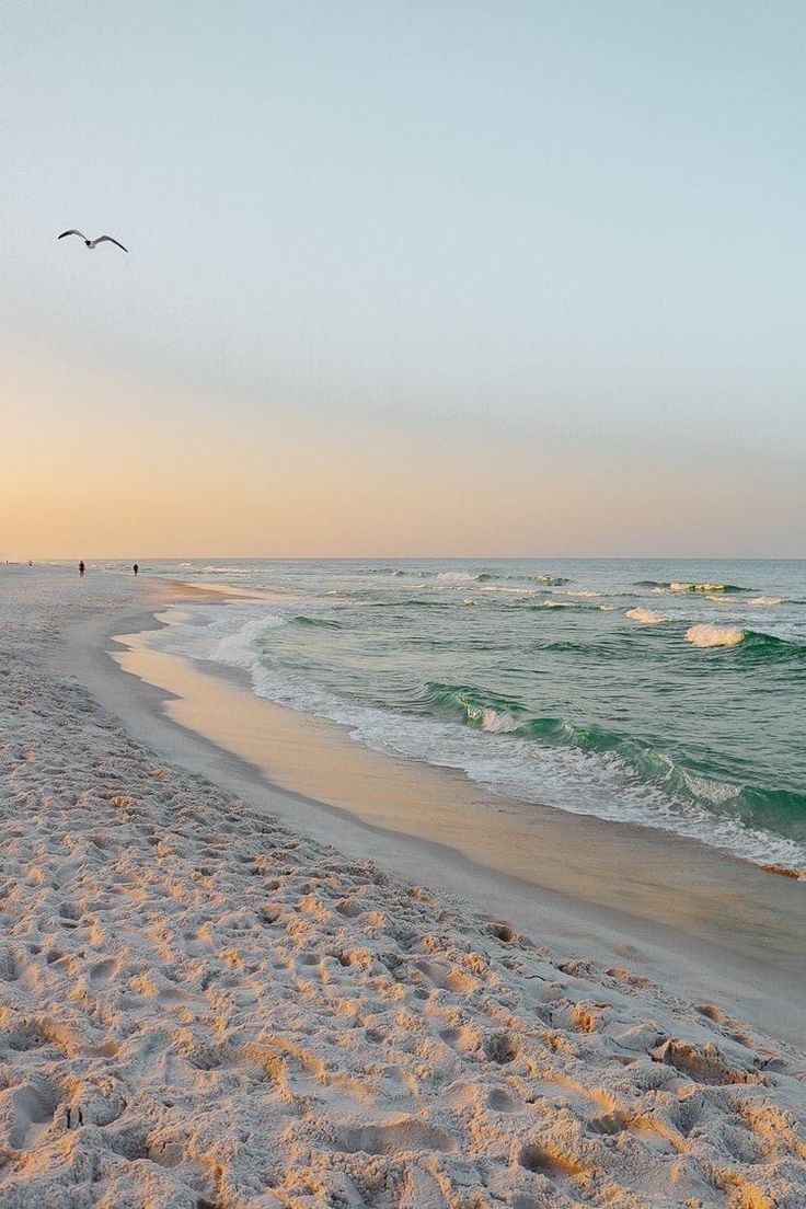 Sandstrand, Wellen, Möwe, Pastellhimmel, Meer, HD, Hintergrundbild fürs Handy
