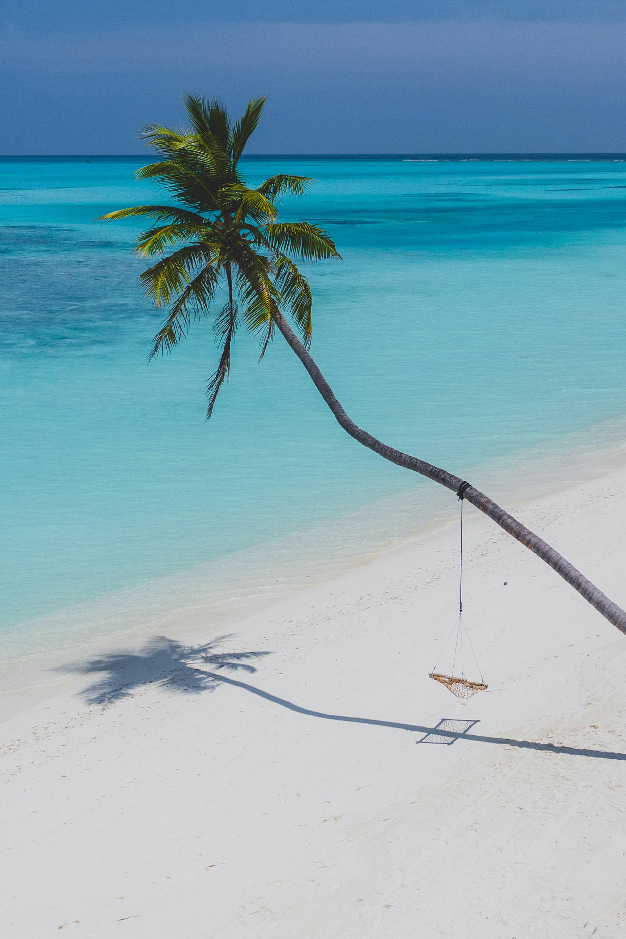 Palme, Weißer Strand, Türkises Meer, Schaukel, Tropen, Full HD, Hintergrundbild fürs Handy