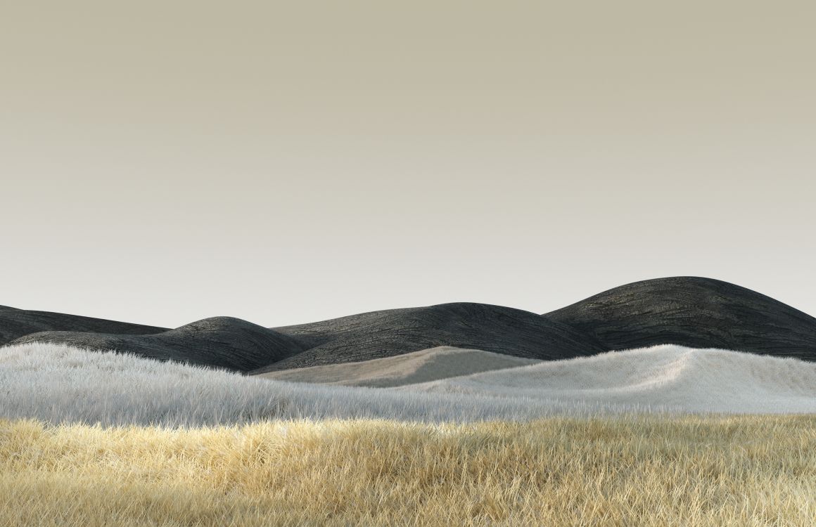 Surface, Microsoft, Hügel, Gras, Minimalistisch, Beige, Hintergrundbild