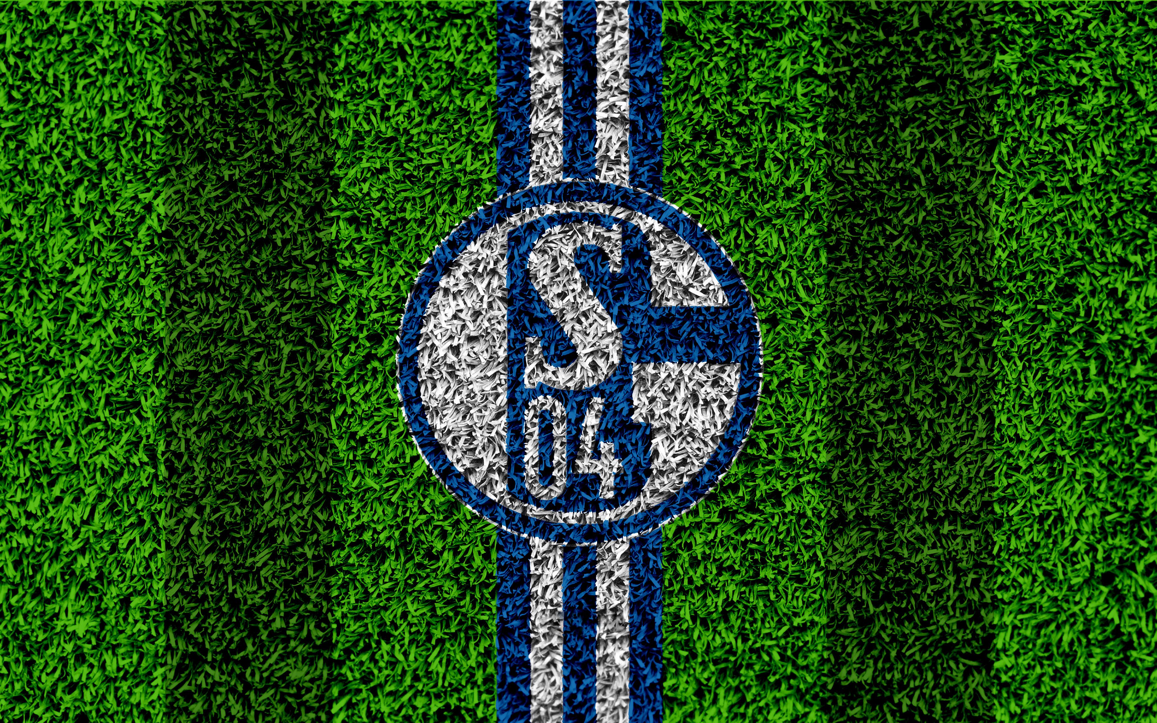 FC Schalke 04, Wappen, Rasen, Fußballplatz, Streifen, 4K, Hintergrundbild für den PC