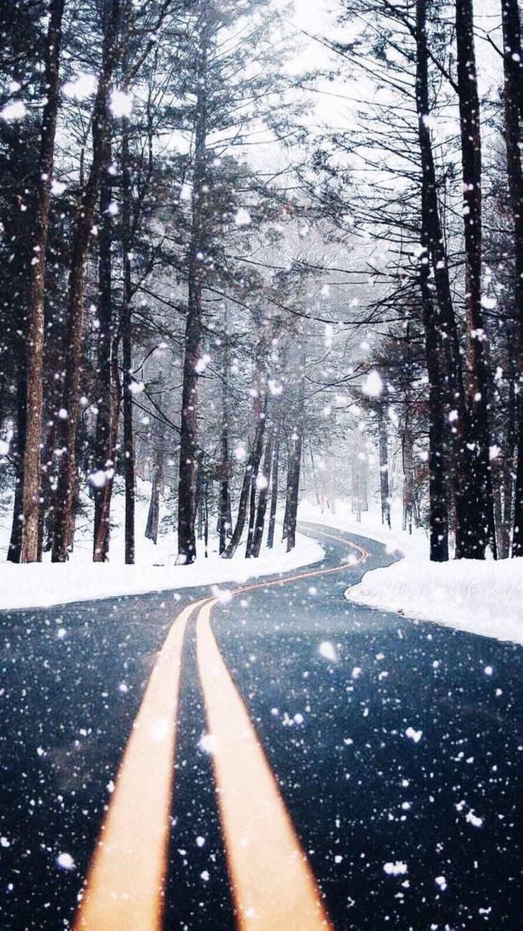 Straße, Verschneiter Wald, Schneefall, Gelbe Linien, Hintergrundbild für iPhone und Android