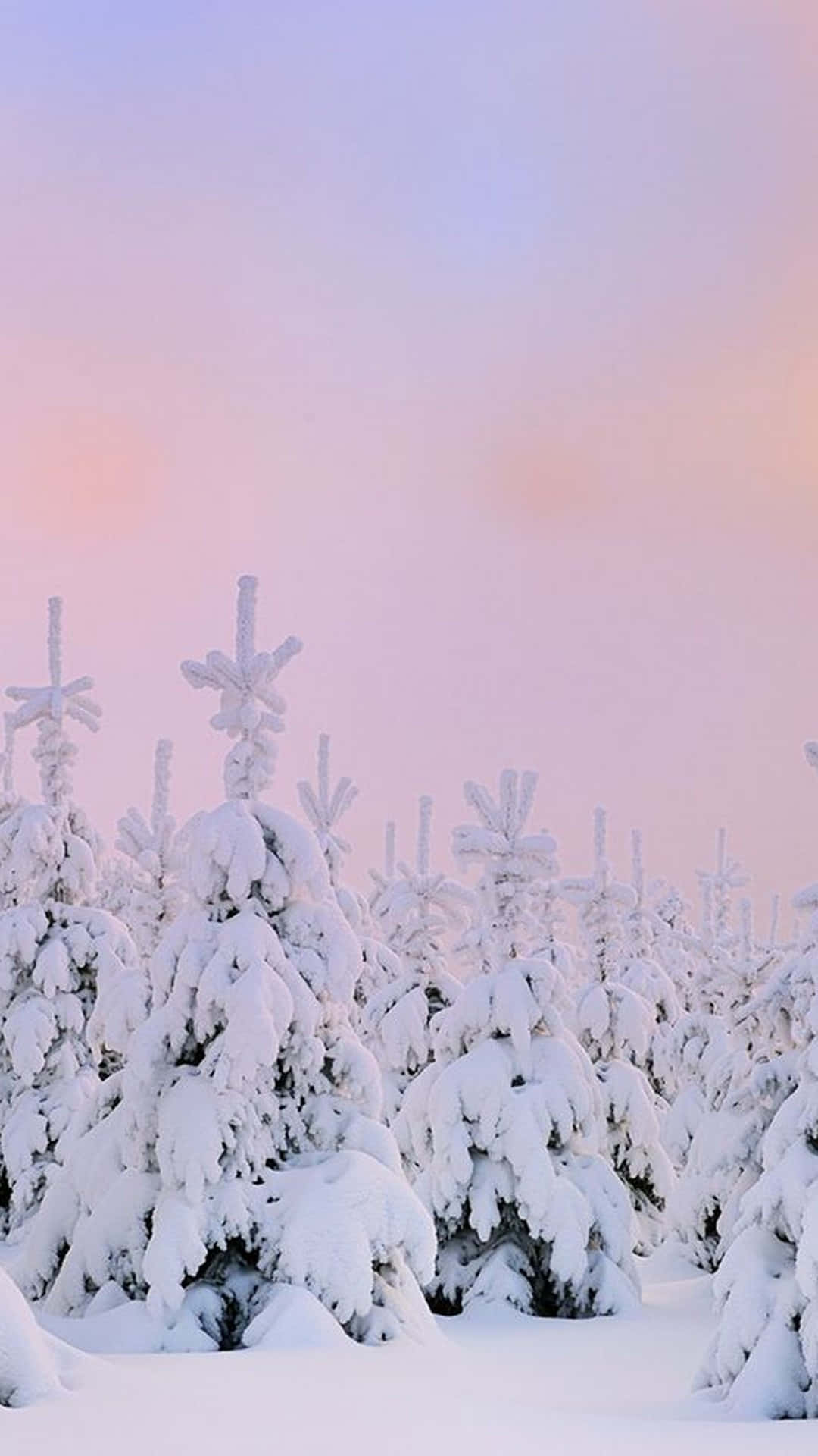 Verschneite Tannen, Schneelandschaft, Pastellhimmel, Rosa und Lila, Ruhe, Full HD, Handy-Hintergrund