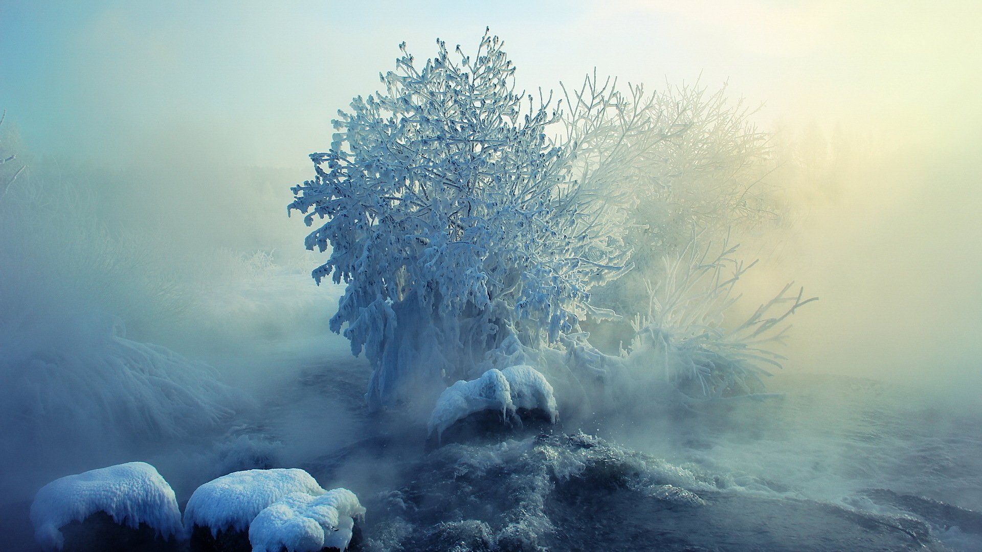 Eisiger Baum, Nebel, Frost, Fantasy, Blau, 16:9, Full-HD-Hintergrundbild für den Desktop