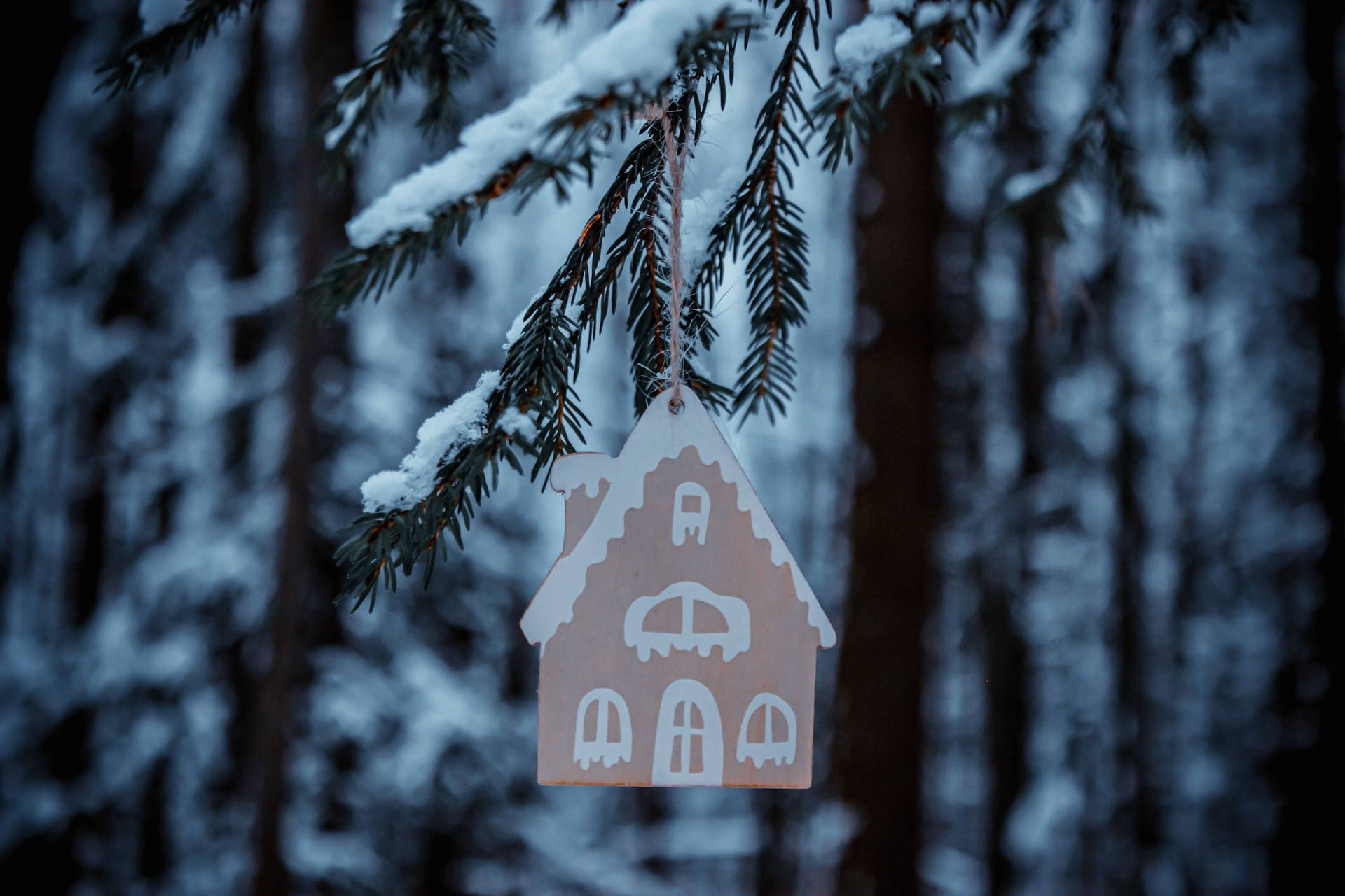 Lebkuchenhaus, Weihnachtsschmuck, Tannenzweig, Wald, Dunkelblau, Full-HD-Hintergrundbild für PC