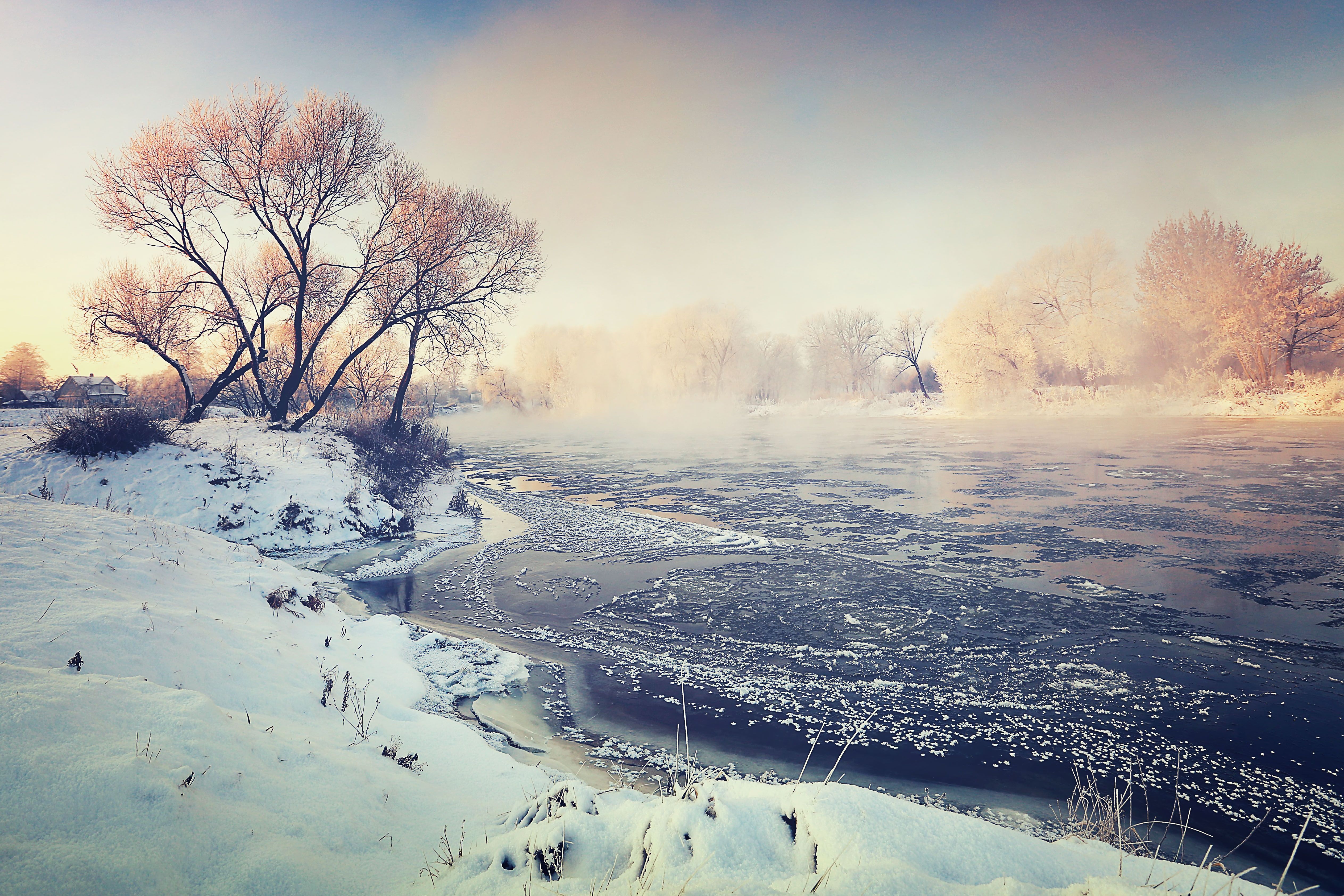 Fluss, Morgennebel, Bäume, Sonnenaufgang, Winterlandschaft, 4K, Laptop-Hintergrundbild