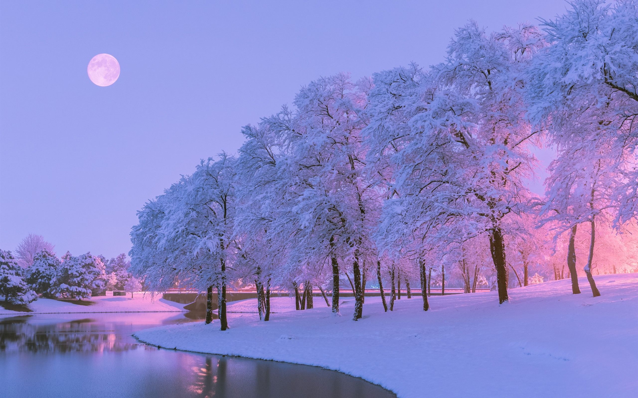 Verschneite Bäume, Vollmond, Fluss, Lila Himmel, Dämmerung, 2K-Hintergrundbild für PC