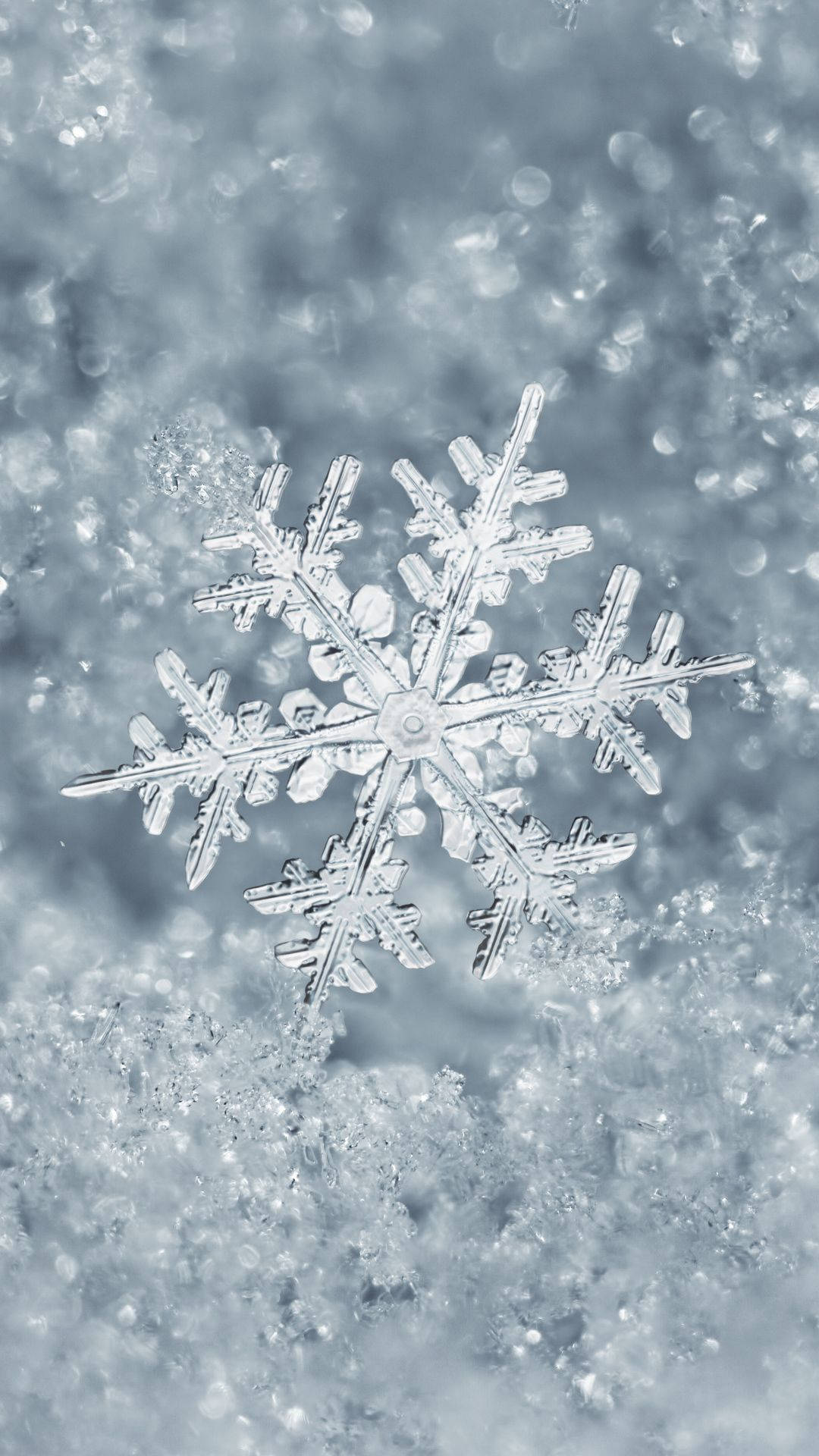 Schneeflocke, Eiskristall, Makro, Silbergrau, Full HD, Handy-Hintergrund im Hochformat