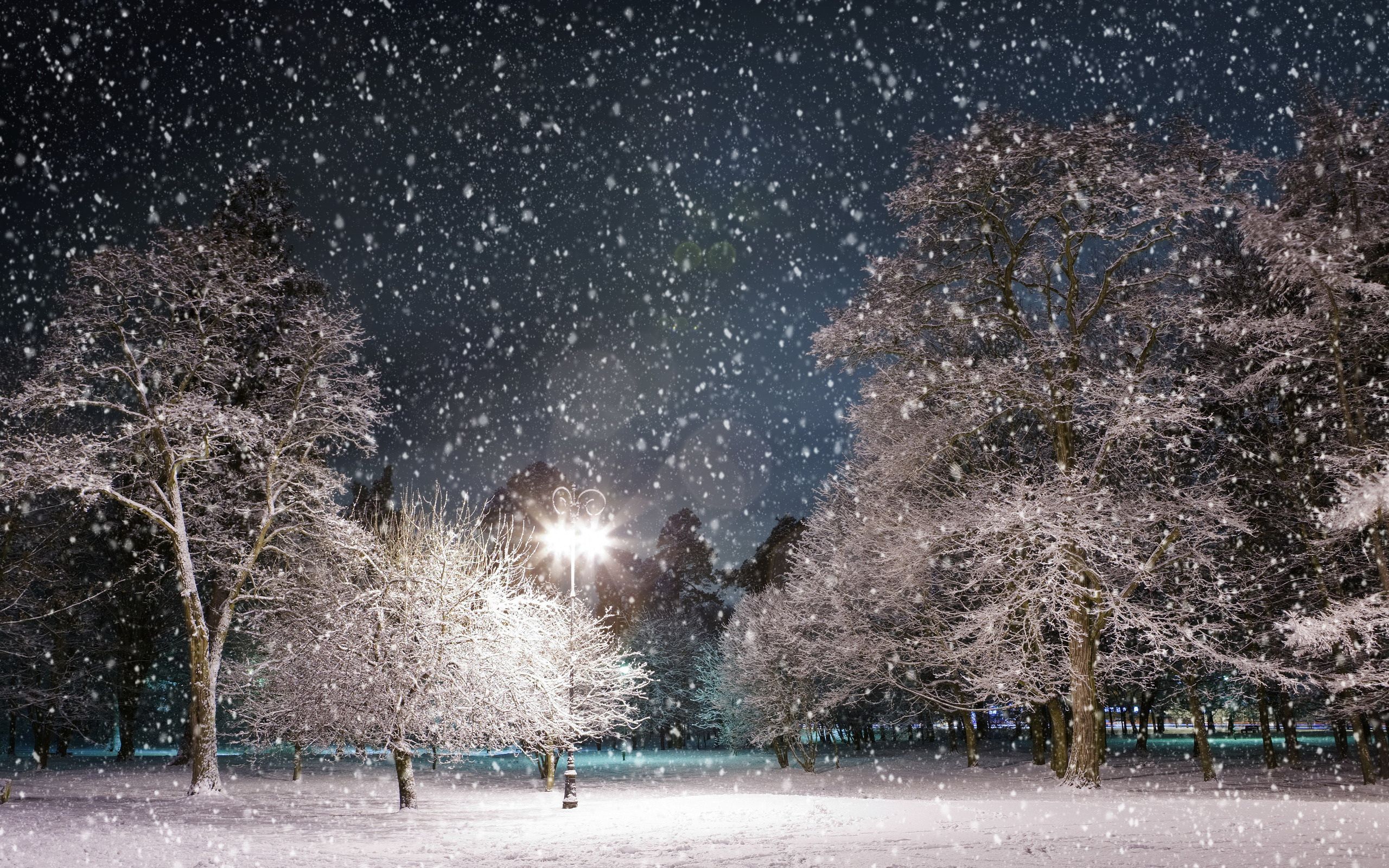 Schneefall, Park, Nacht, Straßenlaterne, Verschneite Bäume, 2K, Breitbild-Hintergrundbild