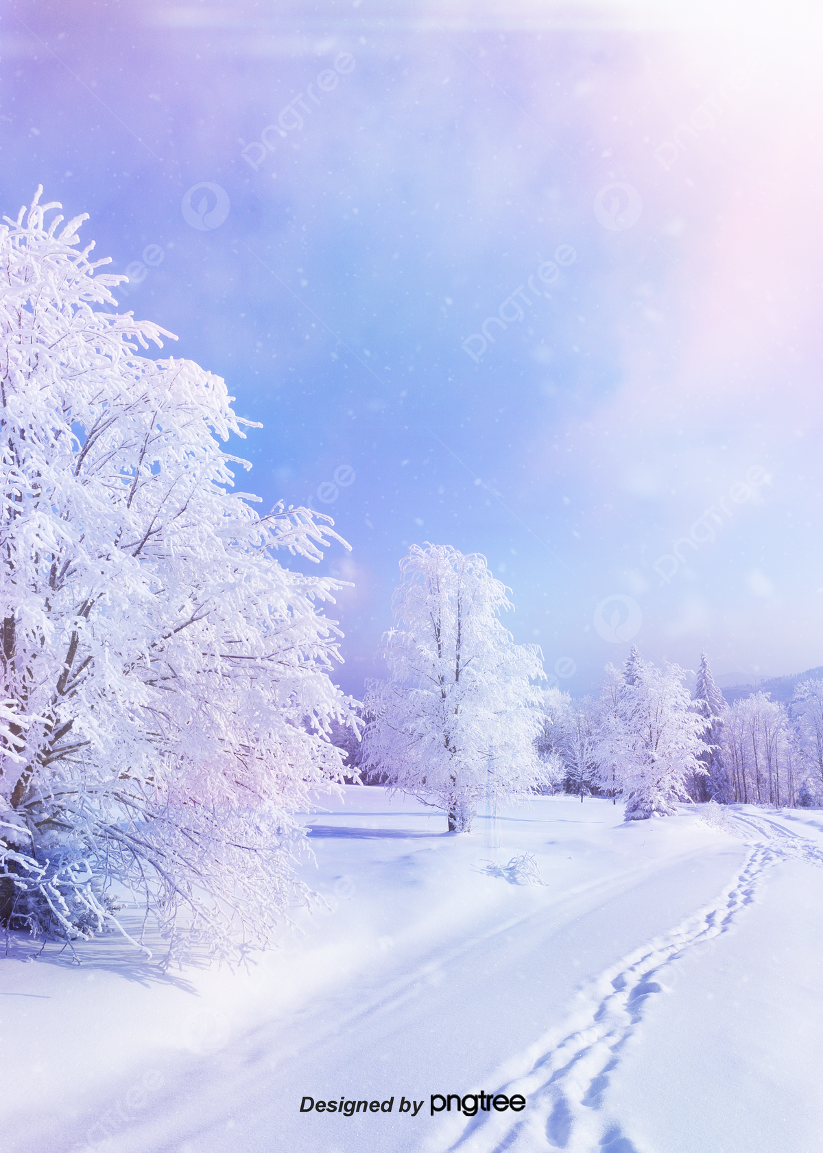 Verschneite Bäume, Winterweg, Fußspuren, Pastellfarben, Wasserzeichen, Full HD, Tablet-Hintergrund