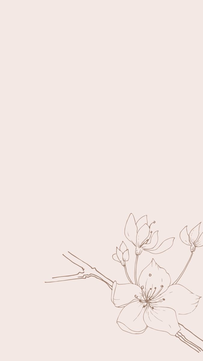 Blüte, Line Art, Rosé, Minimalistisch, Hintergrundbild für iPhone und Android