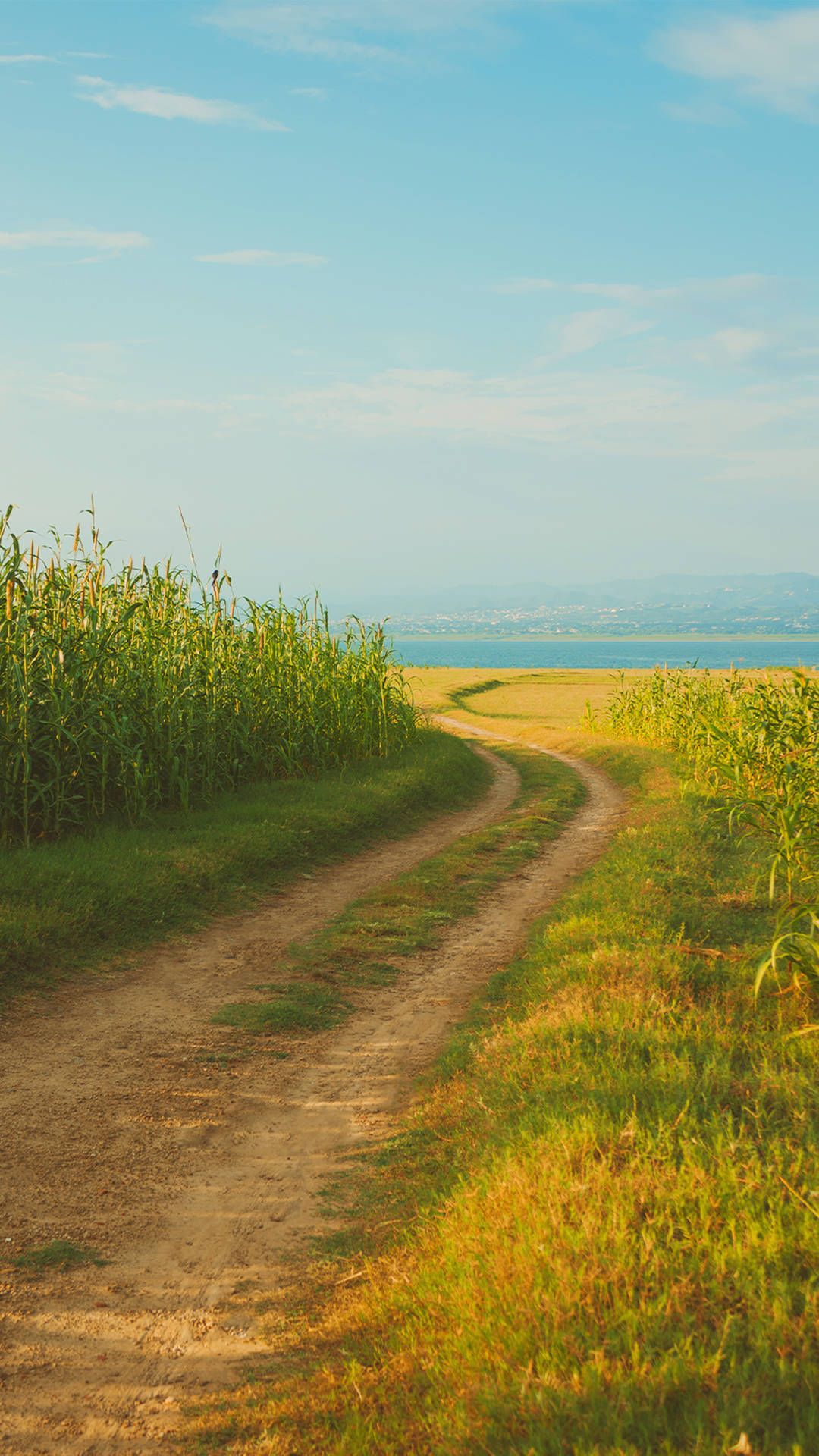 Feldweg, Wiese, Gras, Meer, Sommer, Blauer Himmel, Full HD, Hintergrundbild fürs Handy
