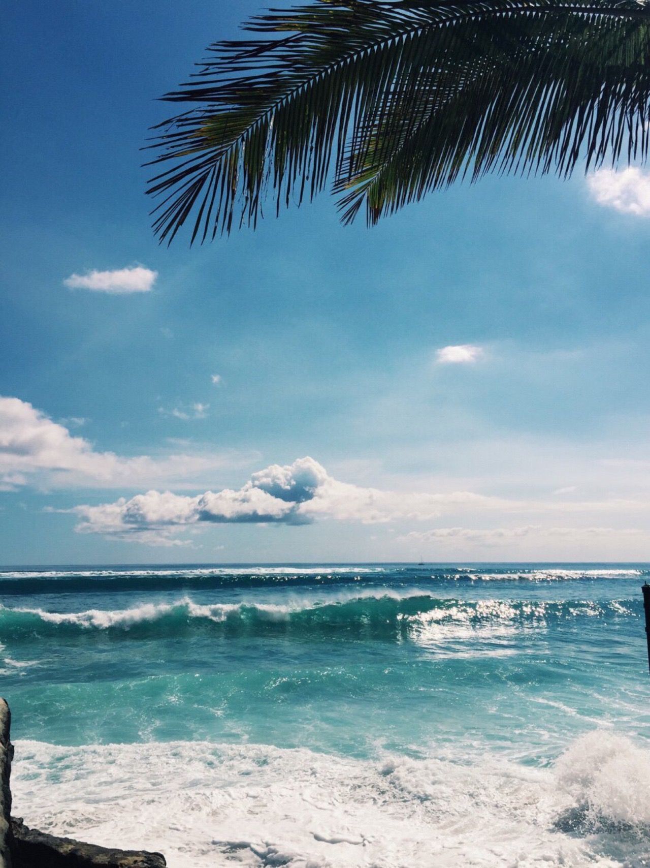 Palmblatt, Wellen, Türkis, Blauer Himmel, Karibik, Full HD, Hintergrundbild fürs Tablet