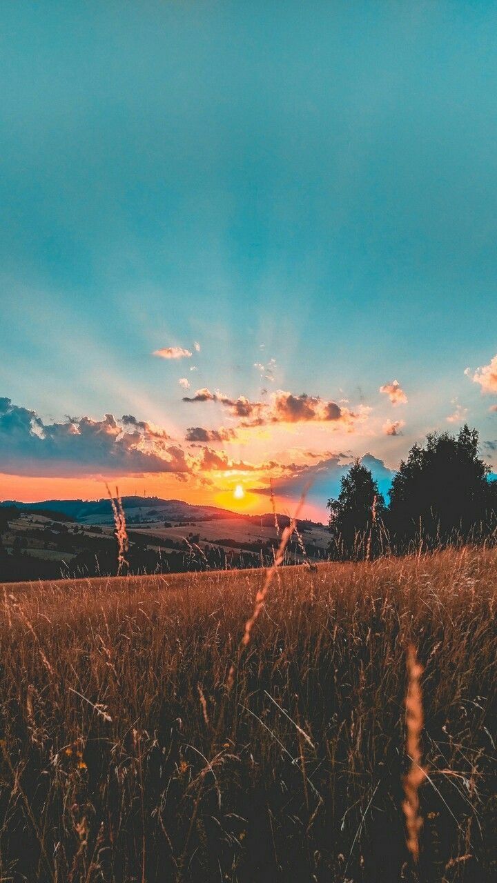 Getreidefeld, Sonnenstrahlen, Sonnenuntergang, Türkiser Himmel, Hügel, HD, Handy-Hintergrundbild