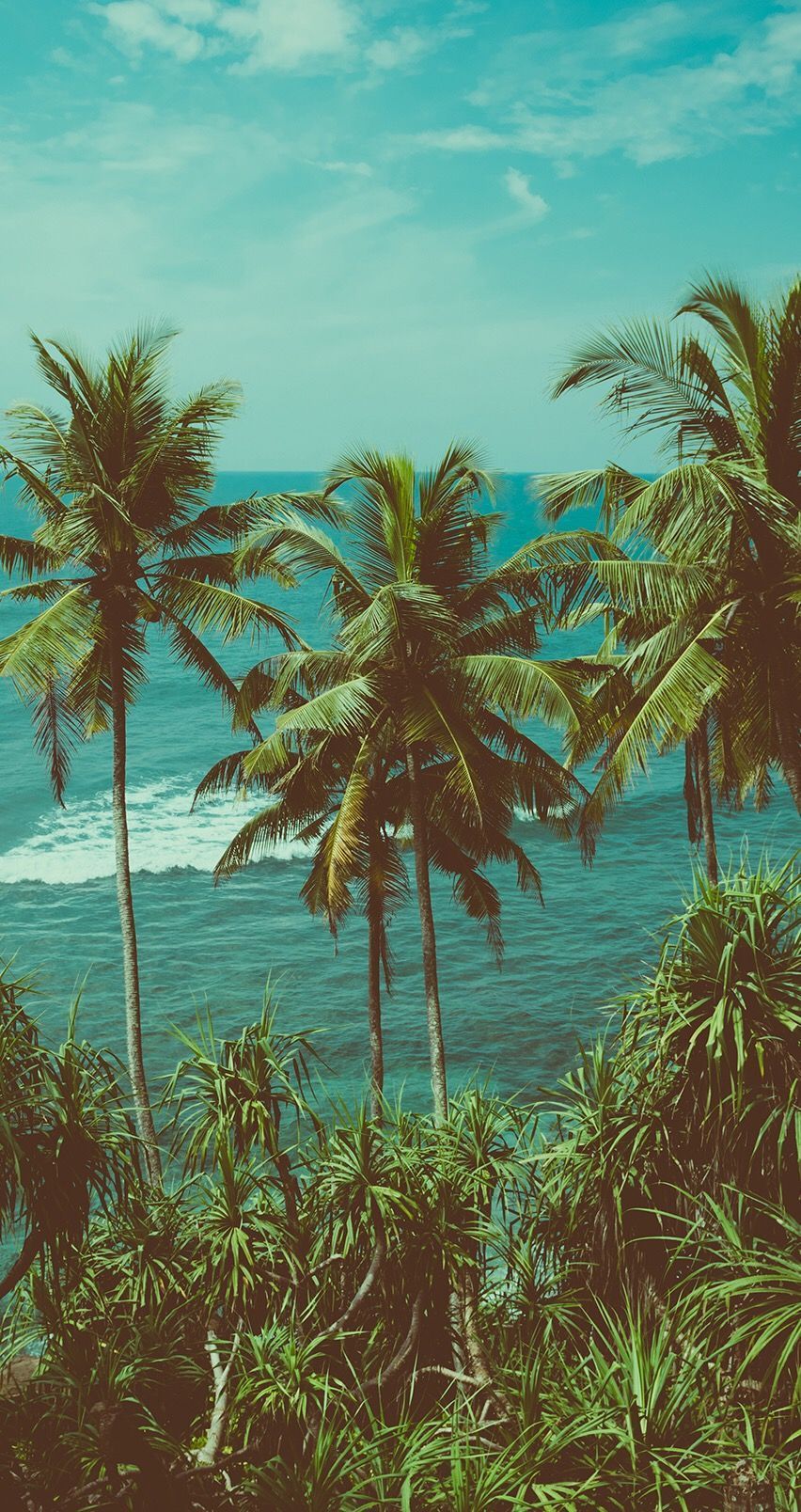 Palmenwald, Tropen, Grün, Dschungel, Retro-Farben, HD, Handy-Hintergrund im Hochformat