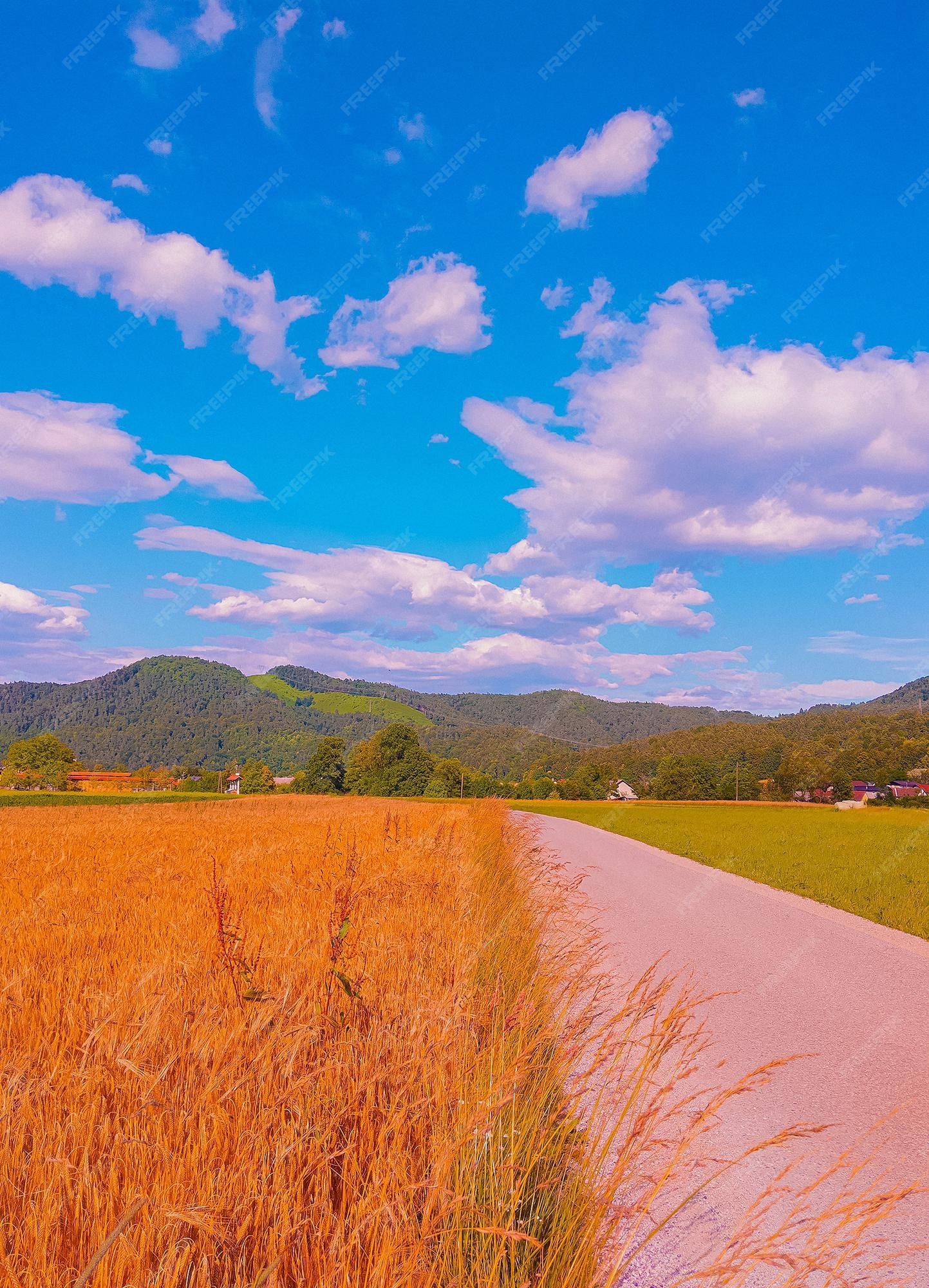 Weizenfeld, Feldweg, Berge, Blauer Himmel, Wolken, Goldene Ähren, QHD+, Tablet-Hintergrund