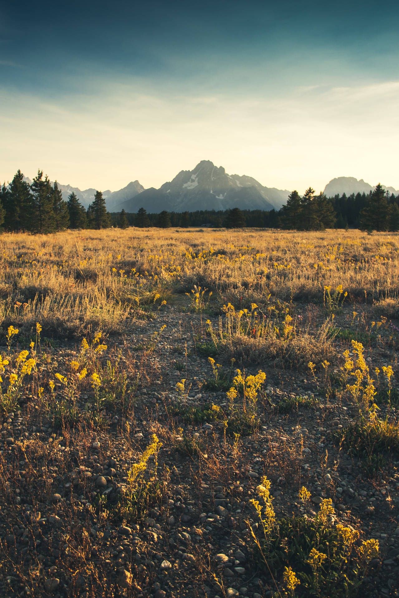 Wiese, Feld, Berge, Dämmerung, Gras, Full HD, Sperrbildschirm fürs iPhone
