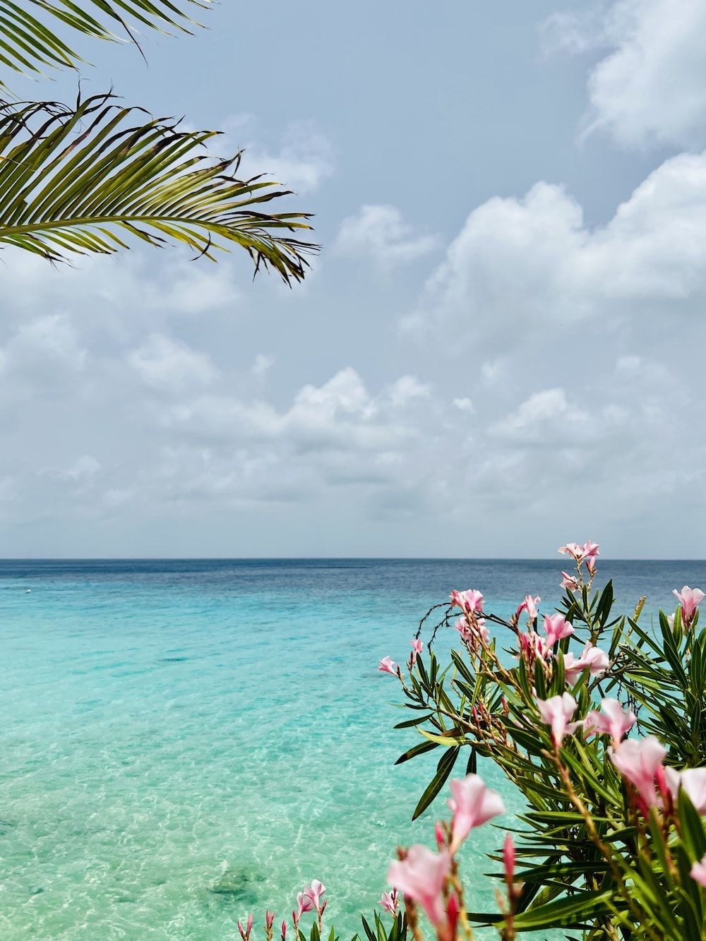 Palmblatt, Oleander, Türkises Wasser, Wolken, Sommer, Hintergrundbild für iPad und Tablet