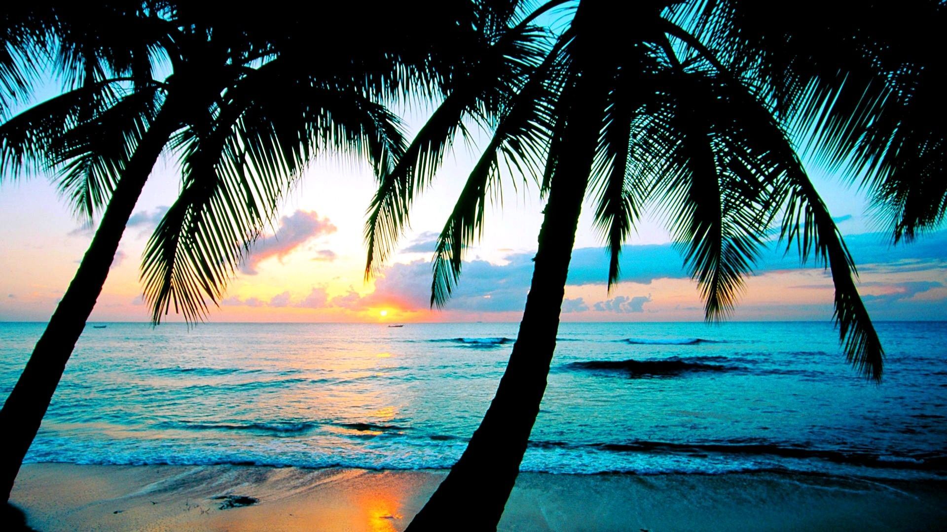 Palmen, Silhouette, Sonnenuntergang, Meer, Tropen, 1920x1080, Full-HD-Hintergrundbild für PC