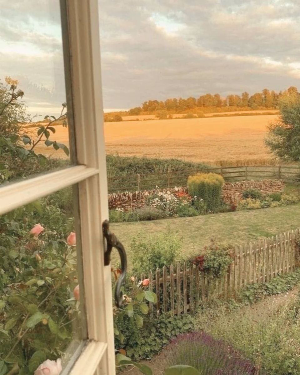 Fensterblick, Garten, Felder, Ländlich, Zaun, Sommer, HD, Hintergrundbild fürs Tablet