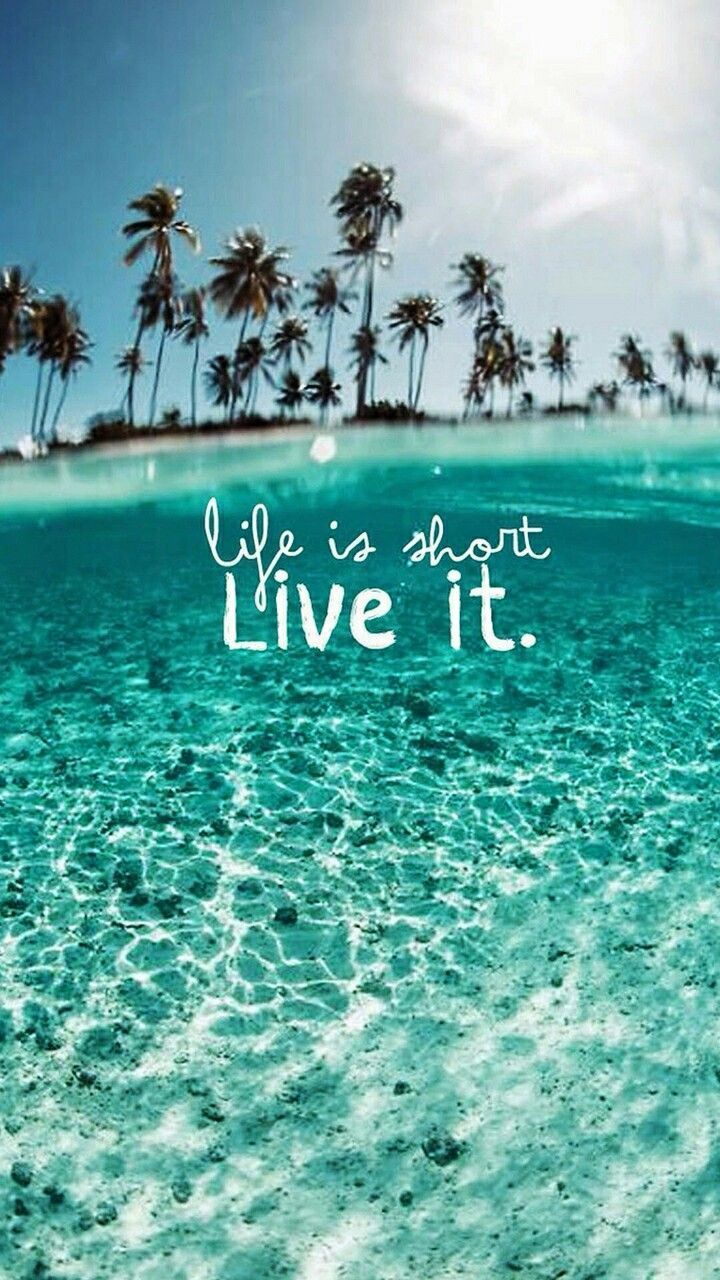 Life Is Short. Live It., Zitat, Palmen, Klares Wasser, Türkis, HD, Handy-Hintergrundbild