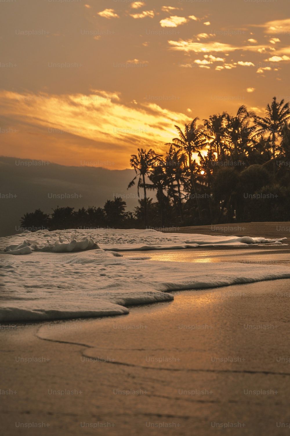 Palmen, Sonnenuntergang, Goldene Stunde, Sandstrand, Silhouette, HD, Handy-Hintergrund
