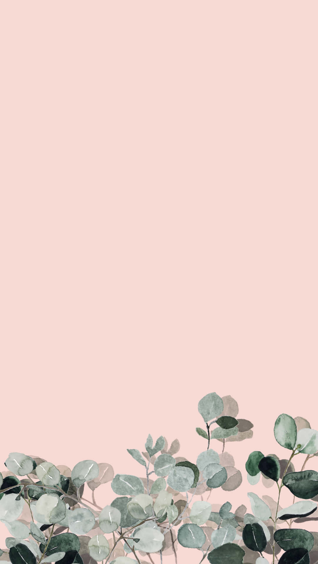 Eukalyptus, Blätter, Rosa Hintergrund, Pastell, Minimalismus, Sperrbildschirm fürs iPhone