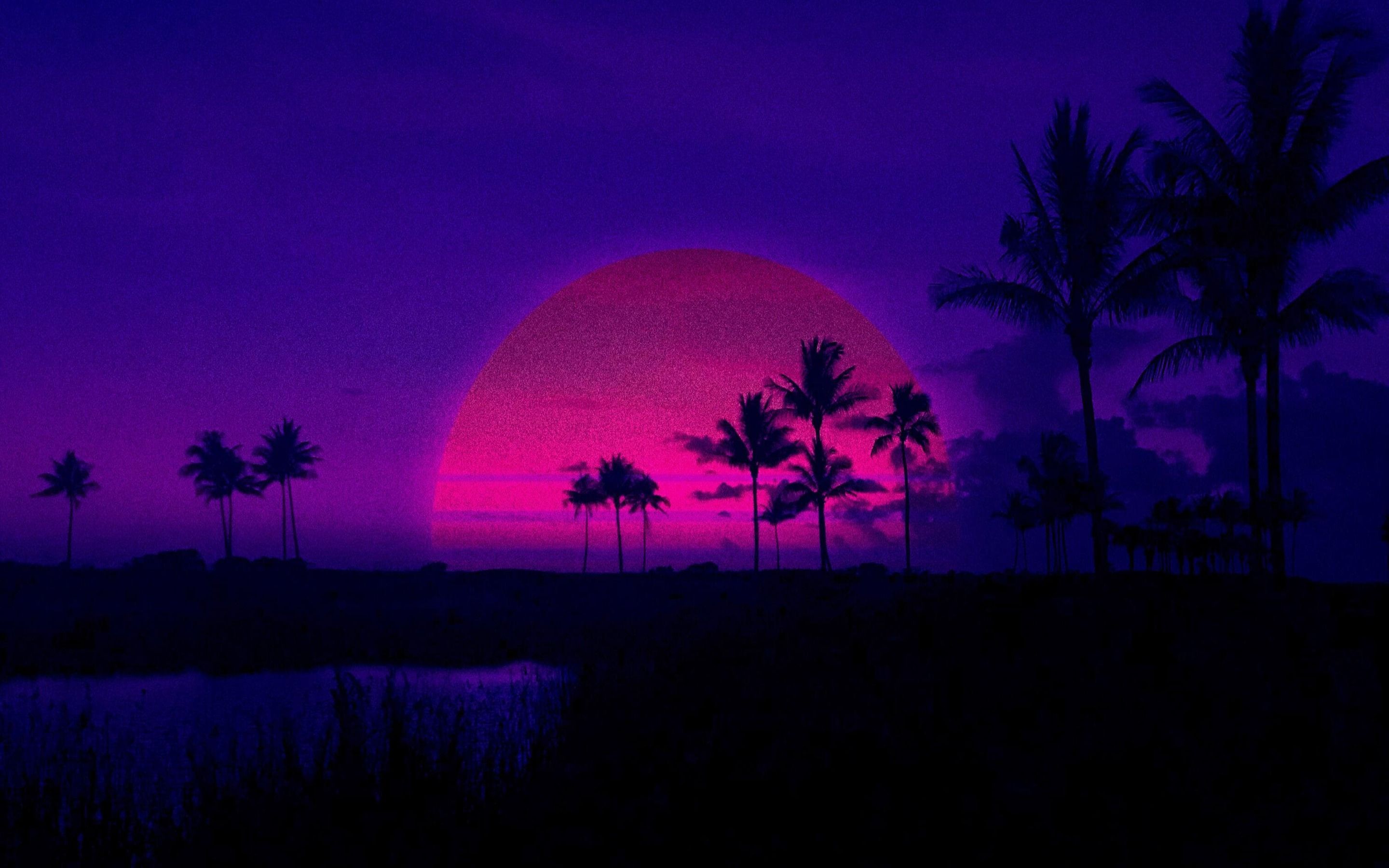 Palmen, Sonnenuntergang, Silhouette, Lila, Retrowave, 16:10, 2K-Hintergrundbild für den Desktop