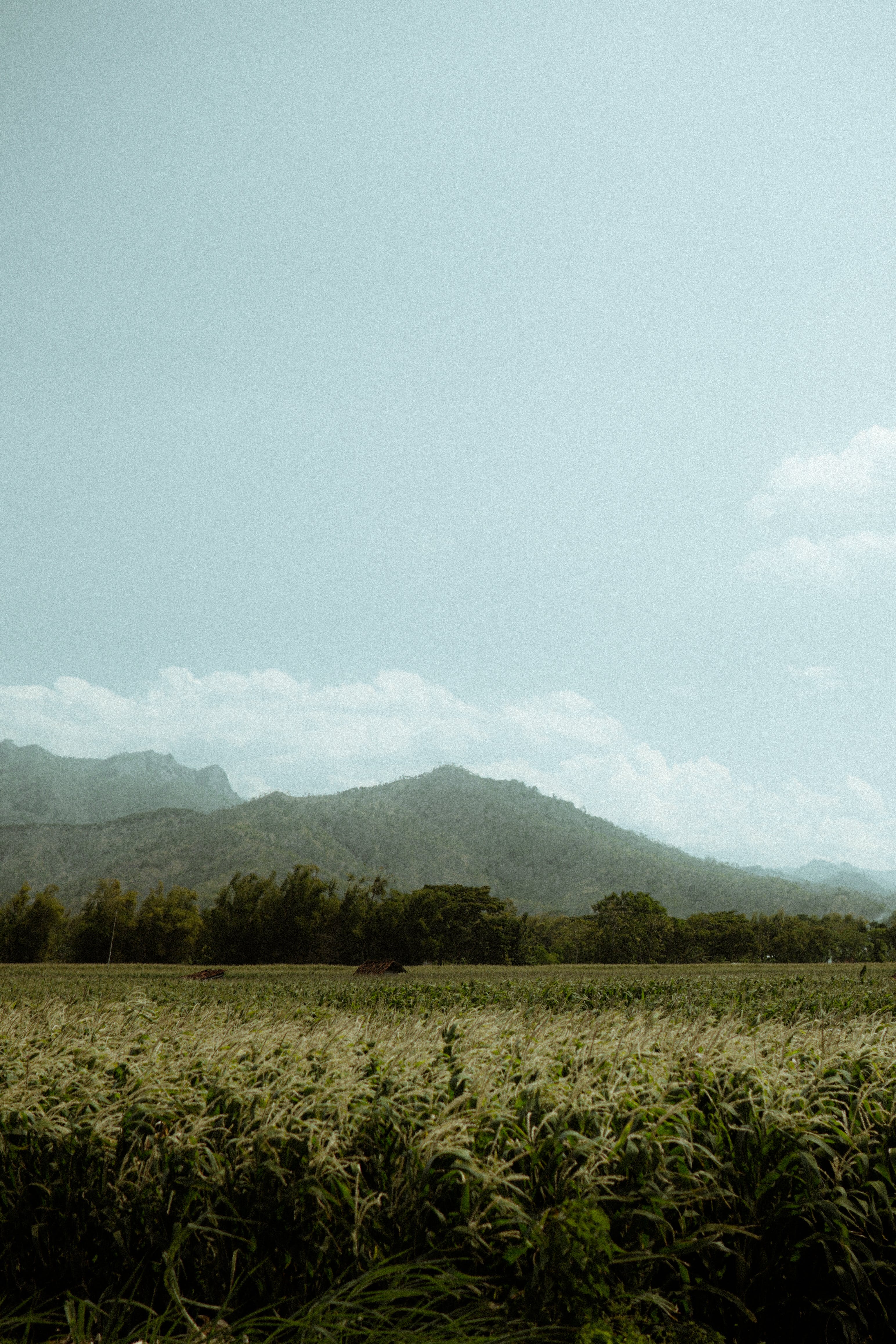 Feld, Berge, Dunst, Blassblauer Himmel, Minimalistisch, QHD+, Hintergrundbild fürs Handy
