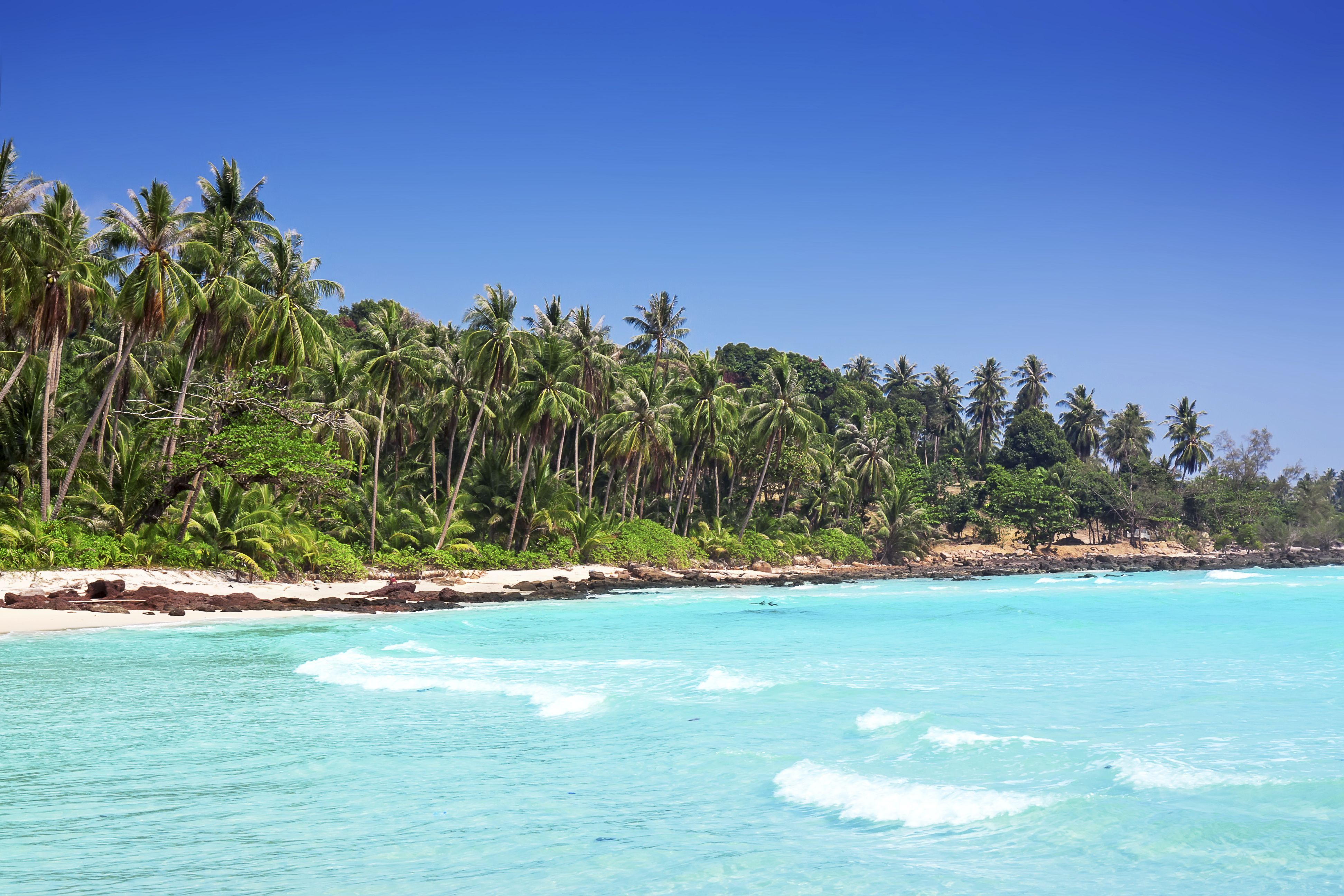 Palmenstrand, Türkises Wasser, Blauer Himmel, Tropische Insel, Wellen, 4K, Windows-Hintergrundbild