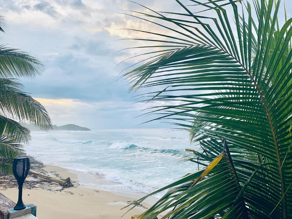 Palmenwedel, Strand, Wellen, Bewölkt, Küste, Hintergrundbild für iPad und Tablet