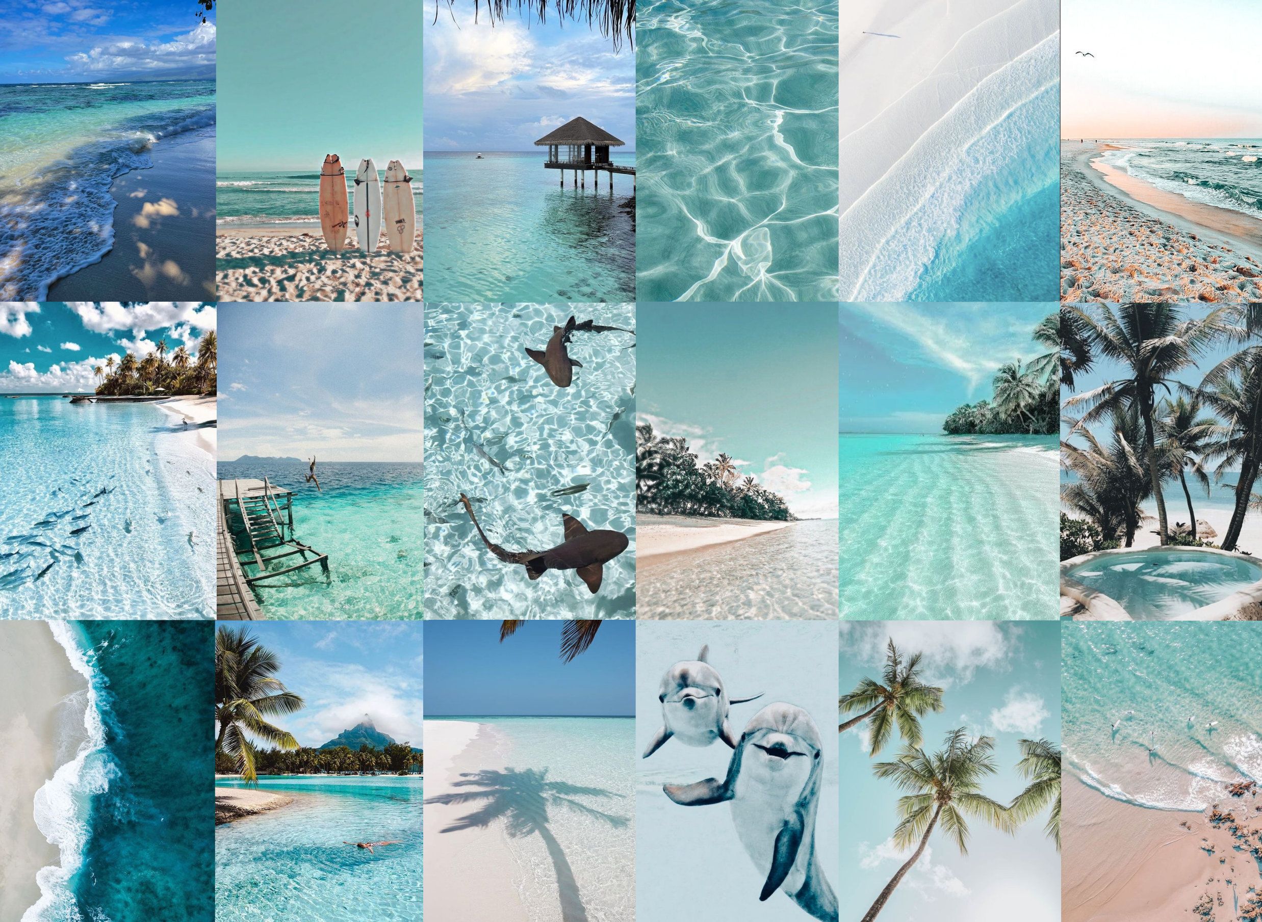 Collage, Türkis, Delfine, Palmen, Wasserbungalows, Full HD, Desktop-Hintergrund für Windows