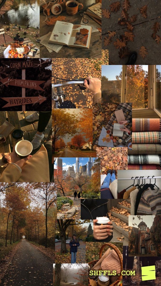 Collage, Herbst, Bücher, Herbstlaub, Braune Ästhetik, Hochformat, Hintergrundbild fürs Smartphone