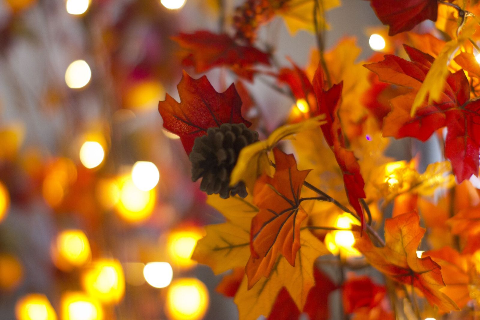 Herbstblätter, Lichter, Bokeh, Tannenzapfen, Warmes Licht, HD, Laptop-Hintergrundbild