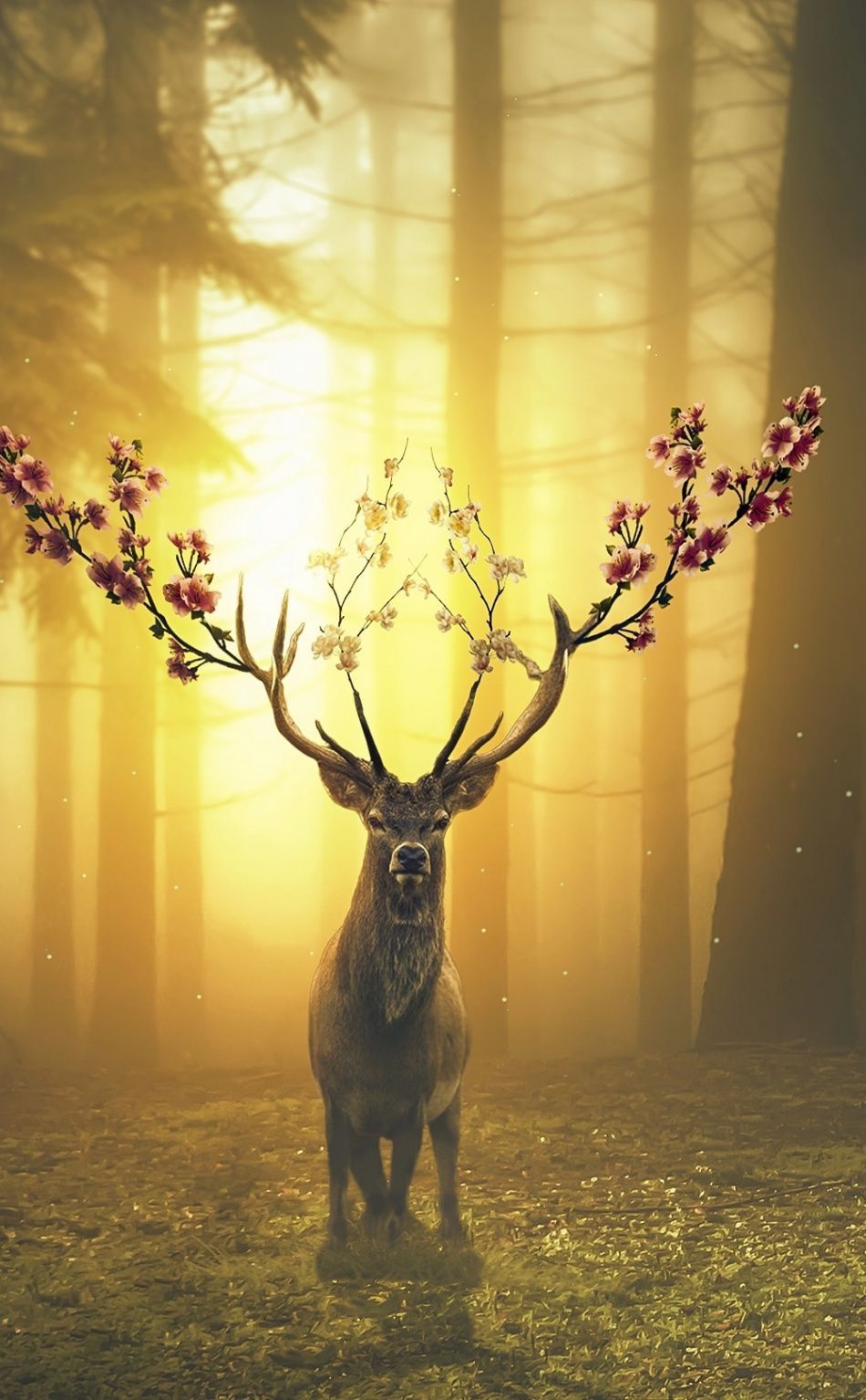 Hirsch, Blühendes Geweih, Wald, Gegenlicht, Nebel, HD, Handy-Hintergrund im Hochformat