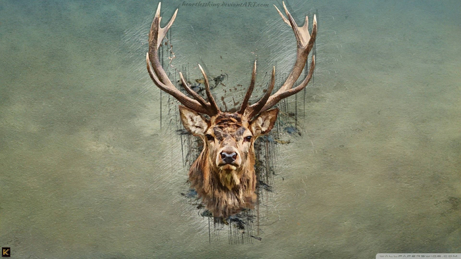 Hirschkopf, Zeichnung, Geweih, Vintage, Grunge, 16:9, Full-HD-Hintergrundbild für den Desktop