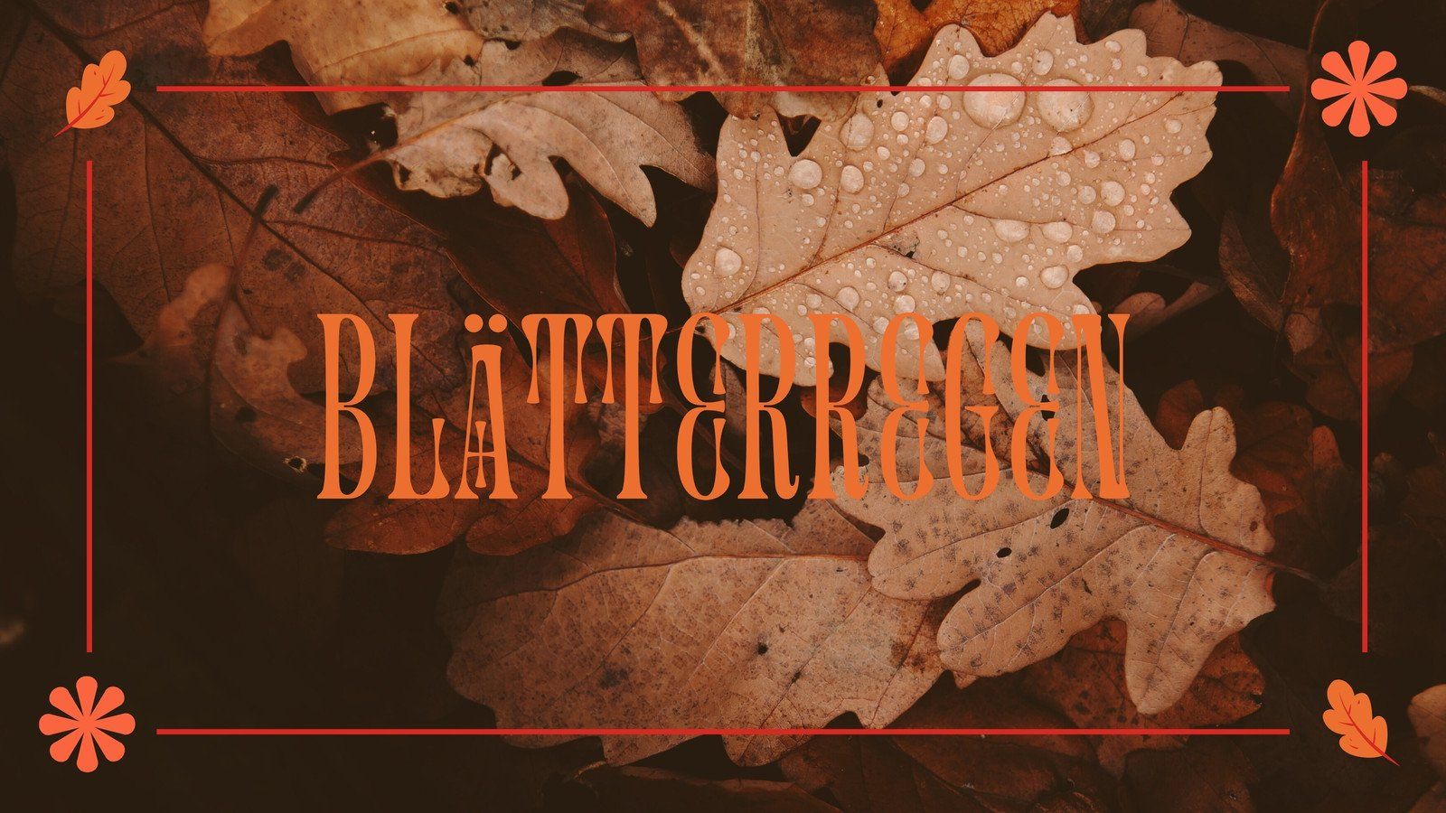 Blätterregen, Schriftzug, Eichenblätter, Wassertropfen, Braun, HD, Windows-Hintergrundbild