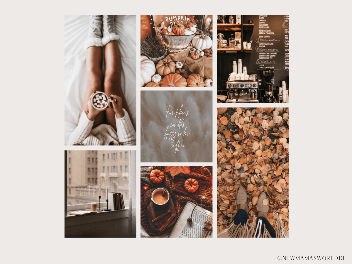 Collage, Desktop-Organizer, Kaffee, Laub, Gemütlich, Hintergrundbild für iPad und Tablet