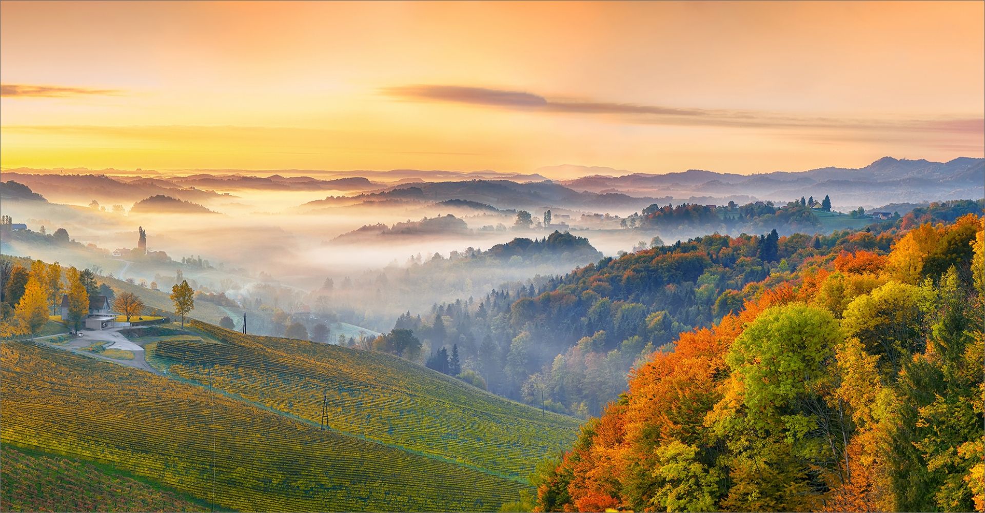 Hügellandschaft, Nebel, Sonnenaufgang, Weinberge, Bunte Wälder, Full-HD-Hintergrundbild für PC