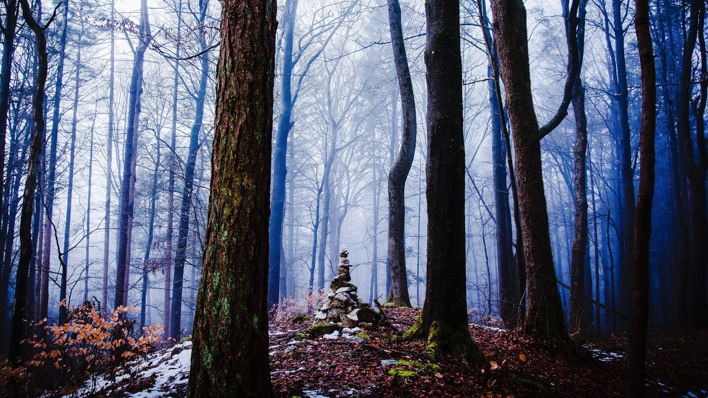 Winterwald, Nebel, Steinmännchen, Baumstämme, Blau, 16:9, HD-Hintergrundbild für den Desktop
