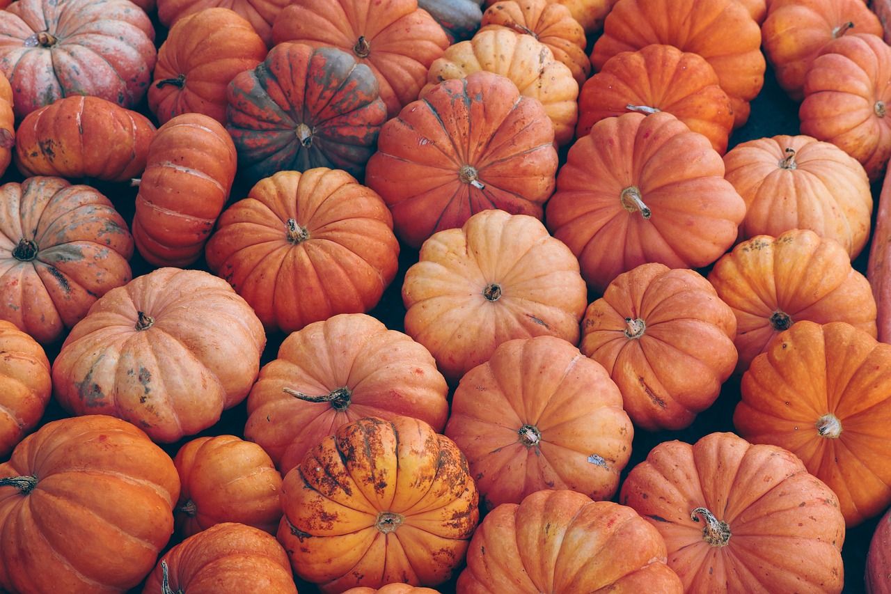 Kürbisse, Orange, Ernte, Draufsicht, Haufen, HD, Hintergrundbild für den PC