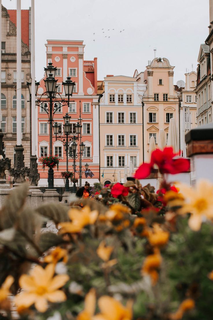Altstadt, Bunte Fassaden, Blumen, Laterne, Polen, Hochformat, Hintergrundbild fürs Smartphone