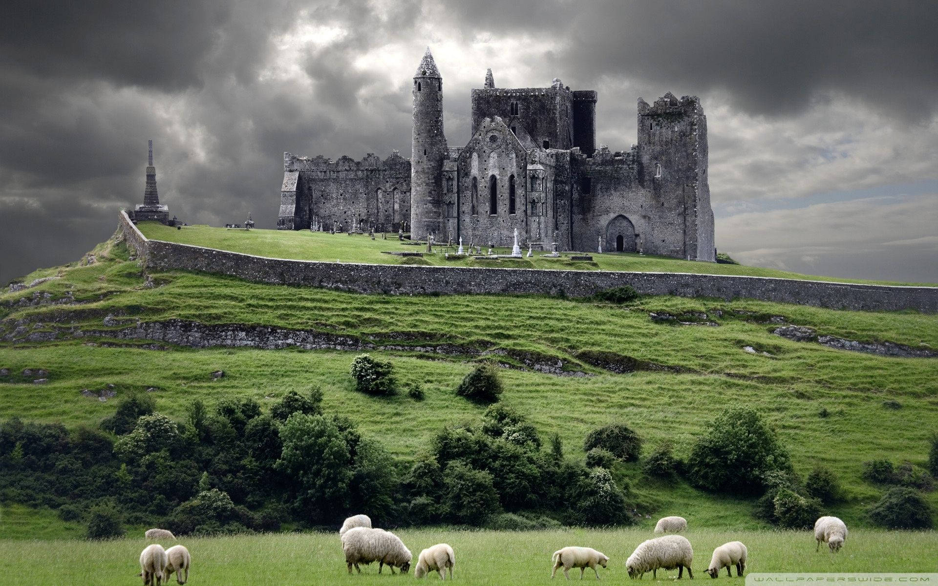 Rock of Cashel, Irland, Burgruine, Schafe, Grüne Wiese, Gewitterwolken, Full HD, MacBook-Hintergrundbild