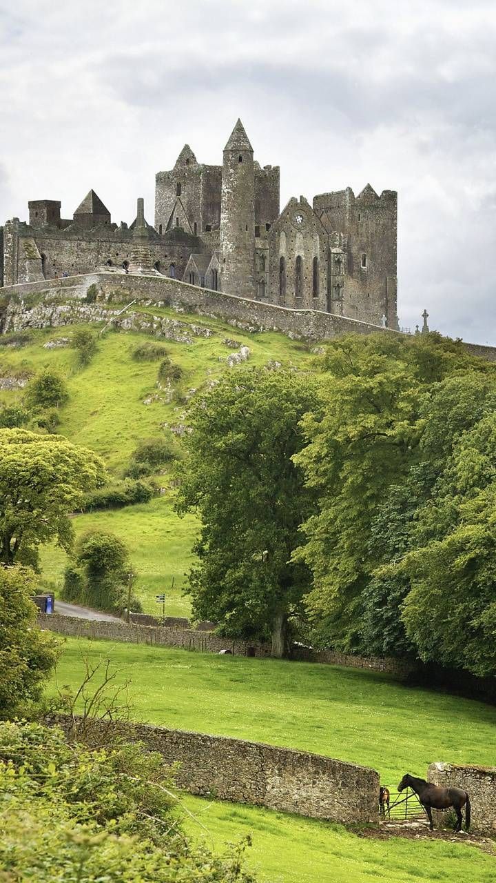 Rock of Cashel, Irland, Burgruine, Grüne Landschaft, Bäume, HD, iPhone-Hintergrundbild