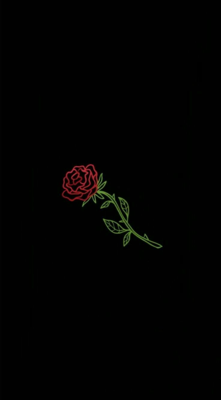 Rote Rose, Schwarzer Hintergrund, Minimalistisch, Zeichnung, Sperrbildschirm fürs iPhone